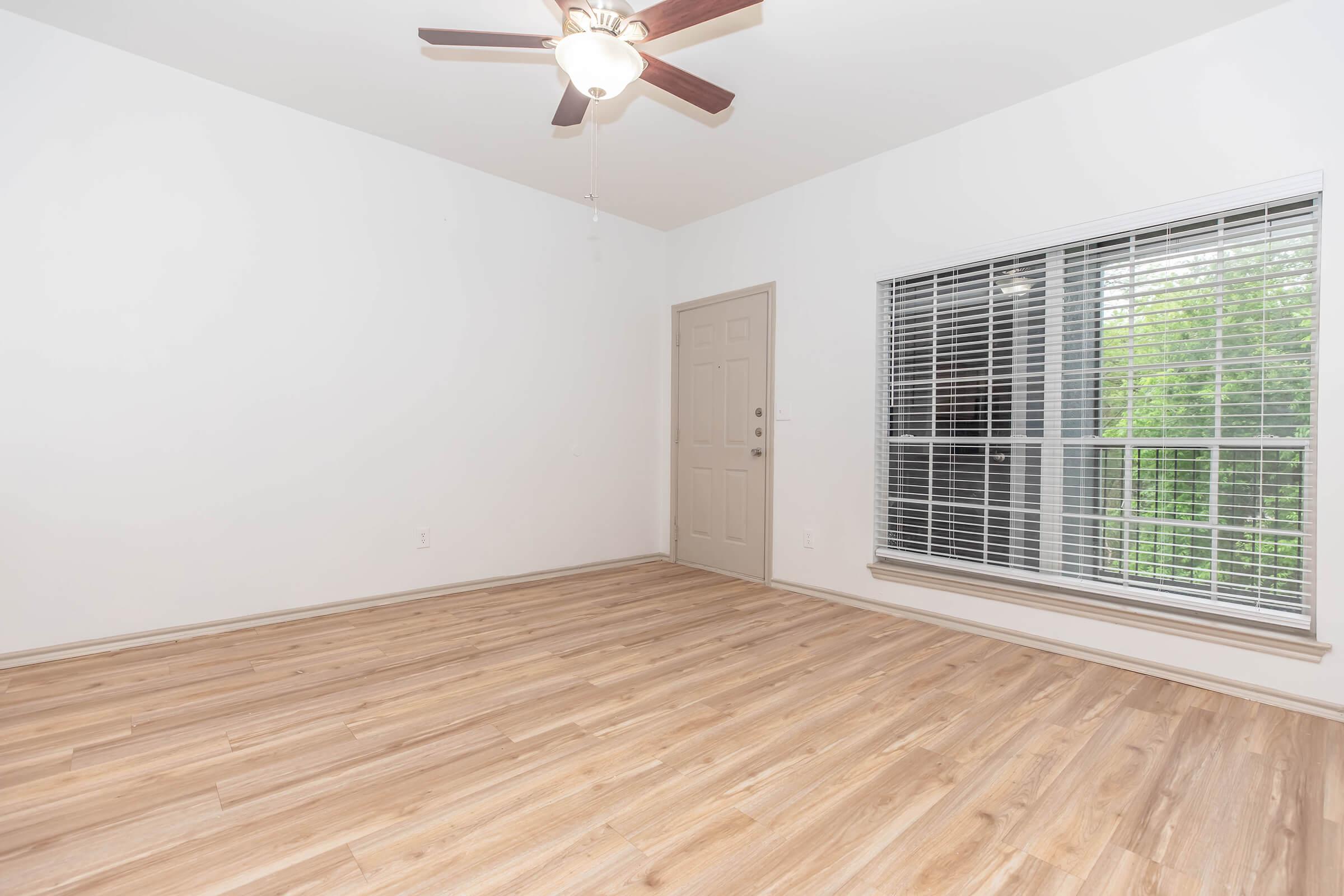 Large Living Room with Natural Lighting