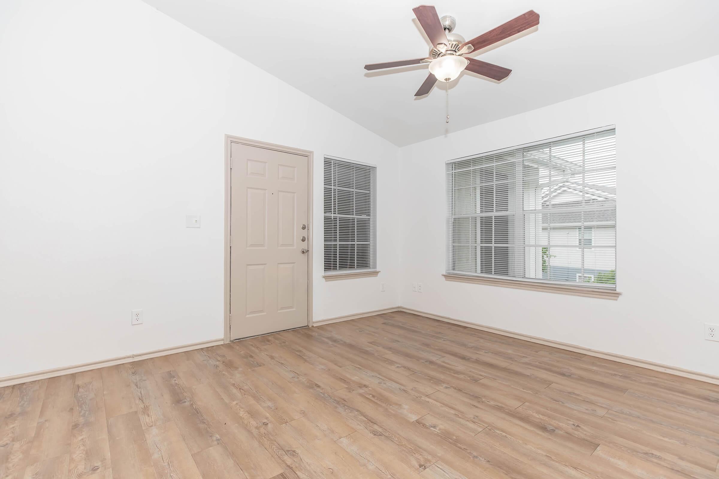 Living Room with Natural Lighting