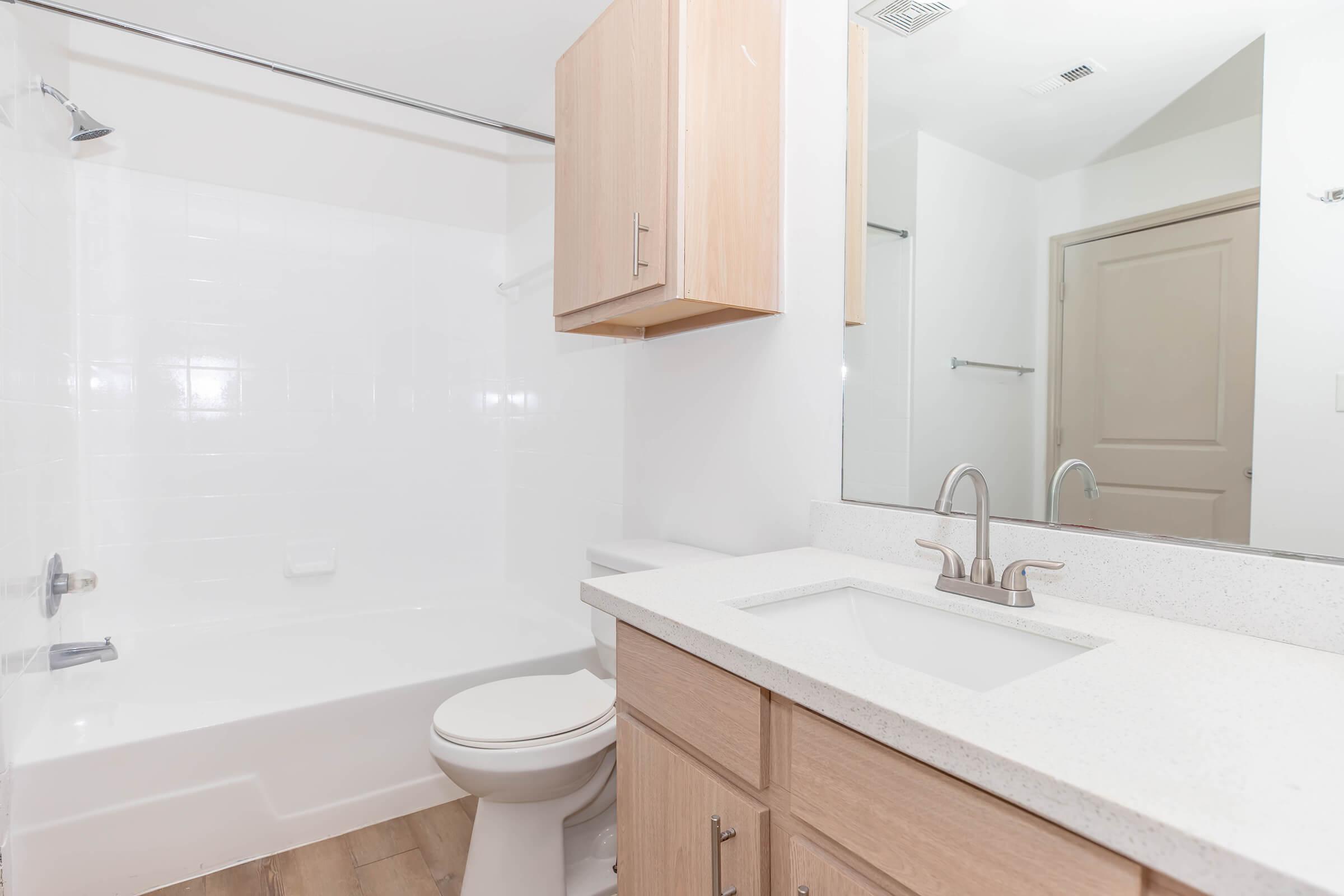 Bathroom with Tub and Shower