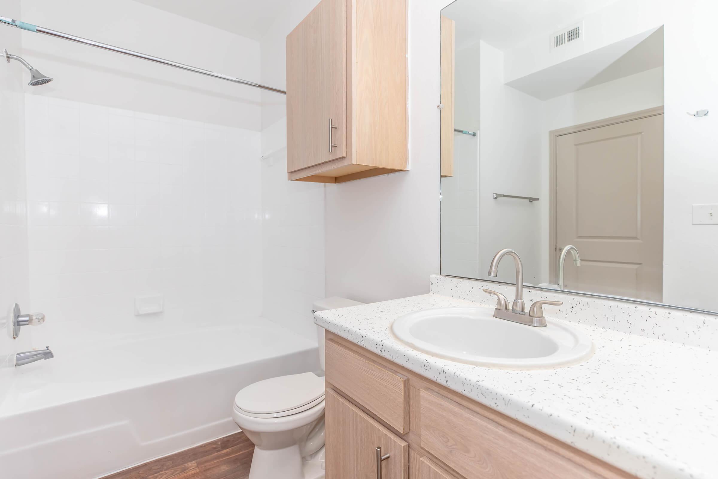 Tub and Shower in Spacious Bathroom