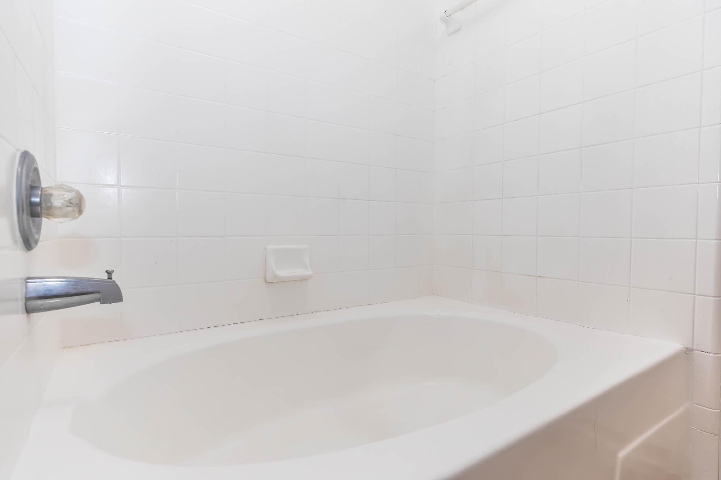 Tub with Shower