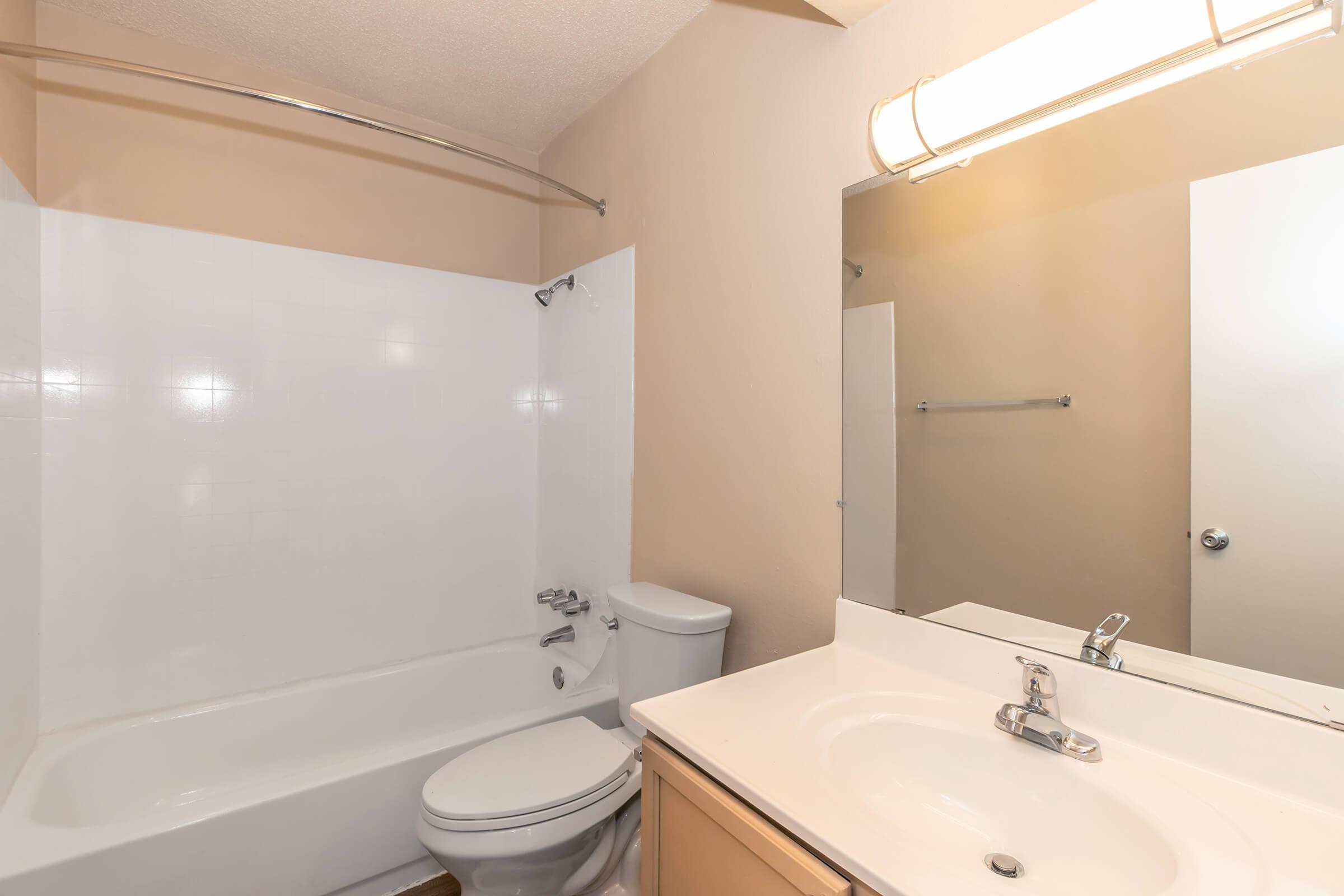 a shower that has a sink and a mirror