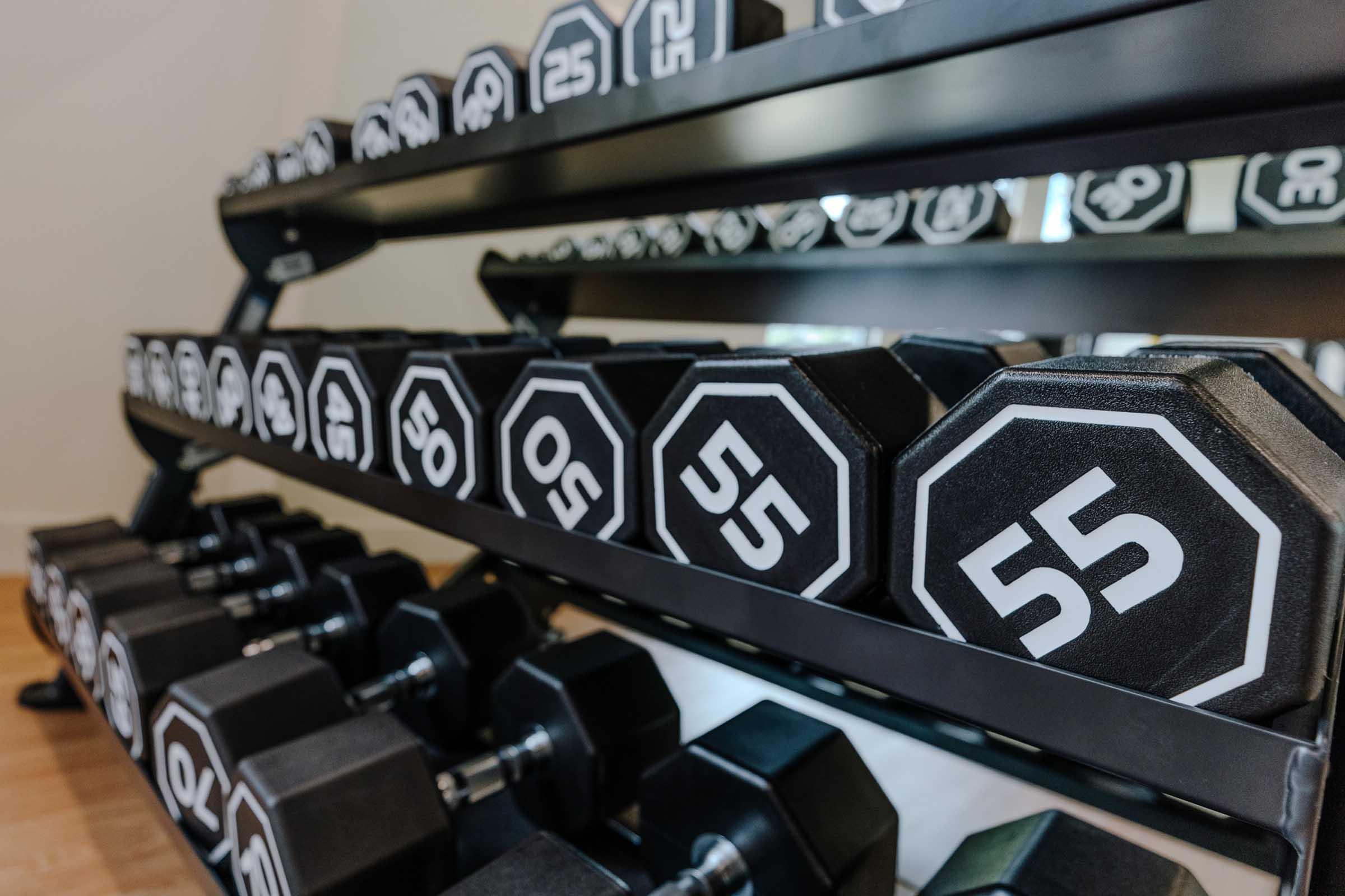 A black dumbbell rack displaying various weights, including 55-pound dumbbells, arranged neatly on multiple levels. The background features a light-colored wall, creating a clean and organized fitness environment.