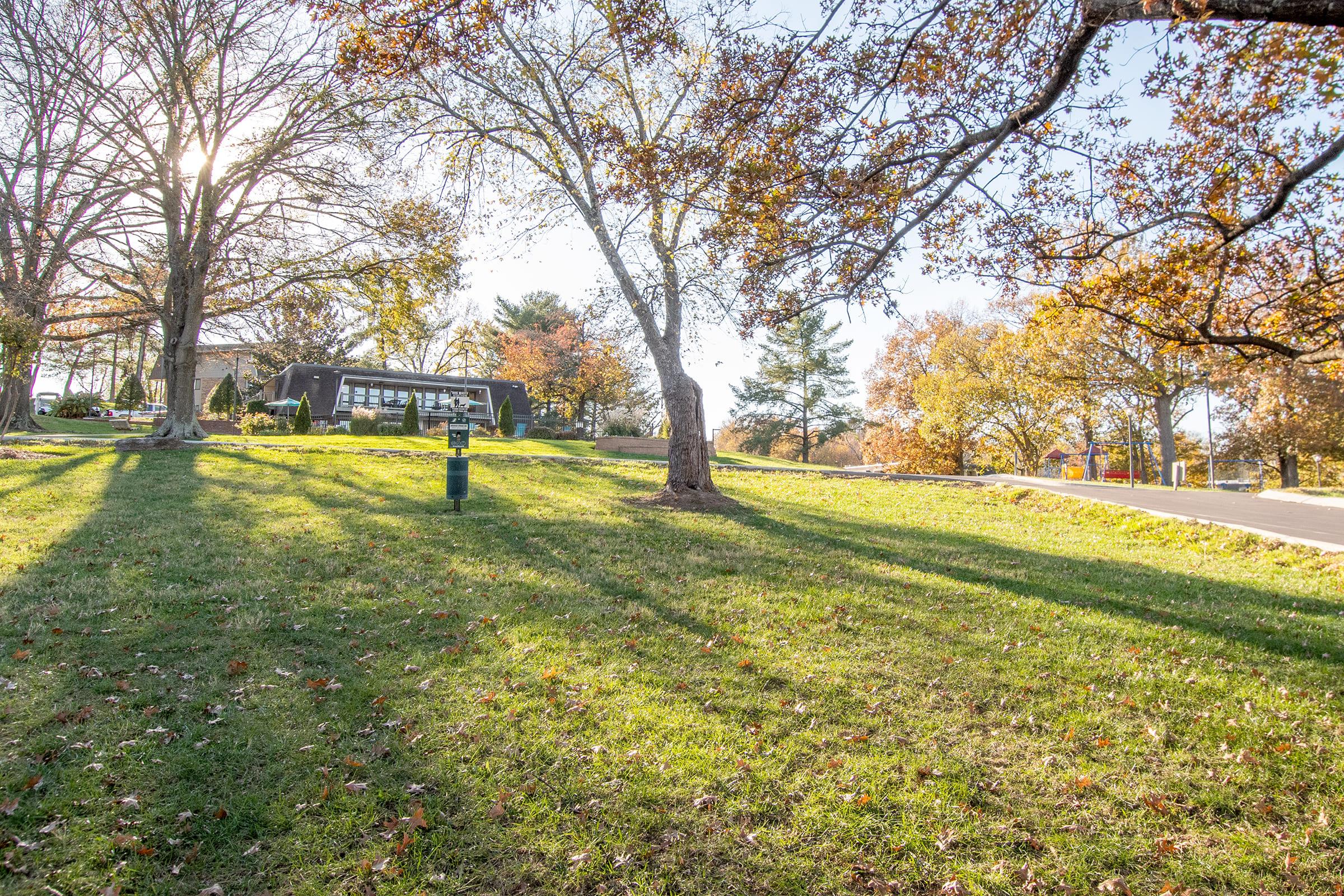 A scenic view of a grassy hillside with a few trees and autumn leaves. In the background, there is a modern building surrounded by colorful foliage. The sunlight filters through the trees, casting long shadows on the ground, indicating a peaceful, sunny day in the fall.