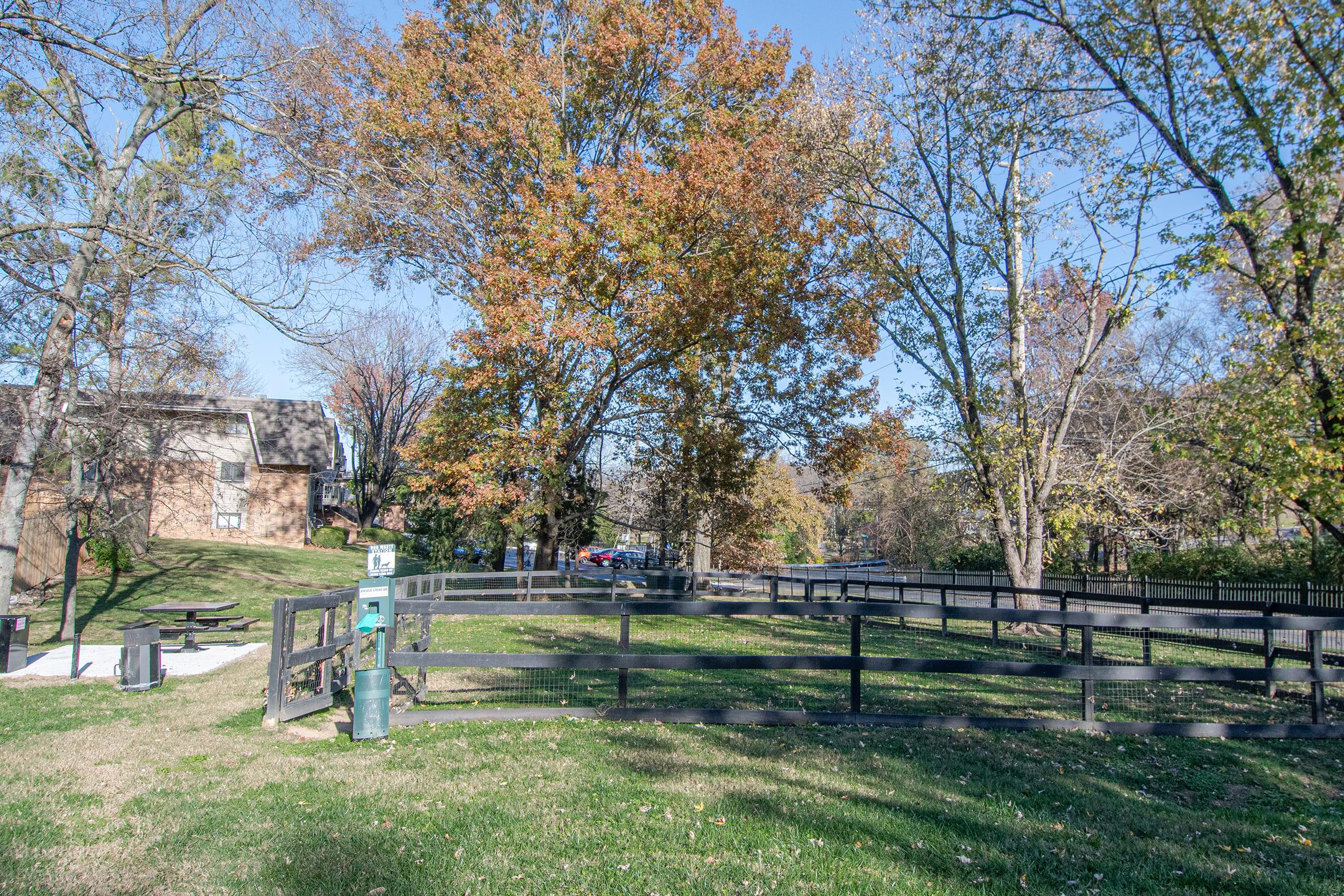 A park scene featuring green grass and several trees with autumn foliage. A wooden fence encloses part of the area, and there's a pathway visible. In the background, a residential building can be seen. The sky is clear and blue, indicating a sunny day.
