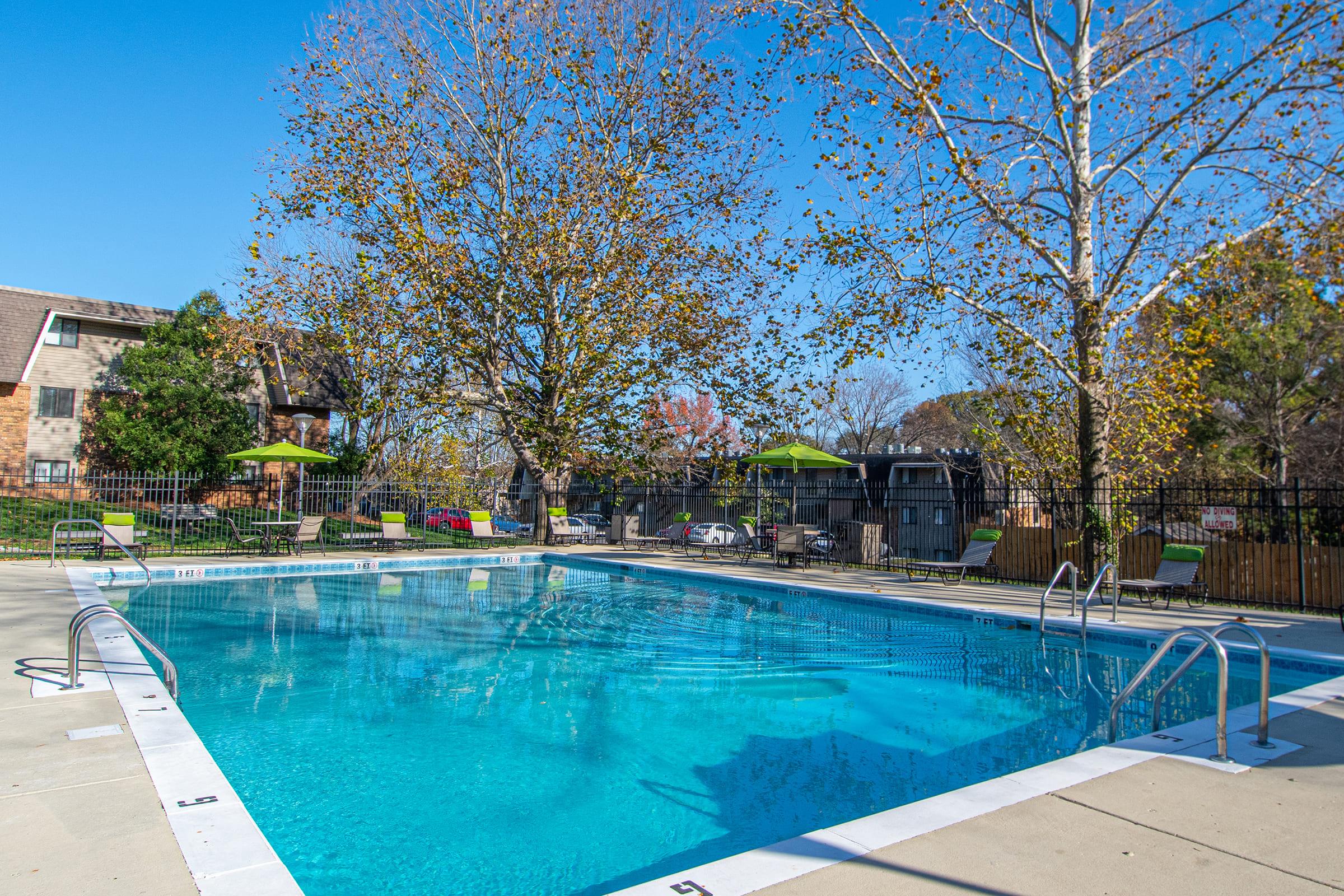 A clear blue swimming pool surrounded by lounge chairs and colorful umbrellas. Trees with autumn foliage are visible around the pool area, under a bright blue sky. The setting is inviting and relaxing, ideal for leisure activities.