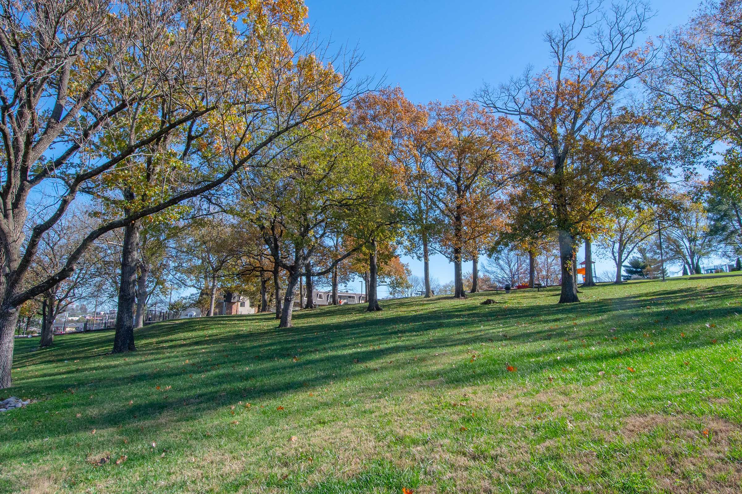 A sunny landscape featuring a grassy slope with several trees displaying autumn foliage. In the background, a couple of buildings can be seen among the trees. Clear blue sky overhead enhances the vibrant colors of the scene, creating a tranquil outdoor setting.