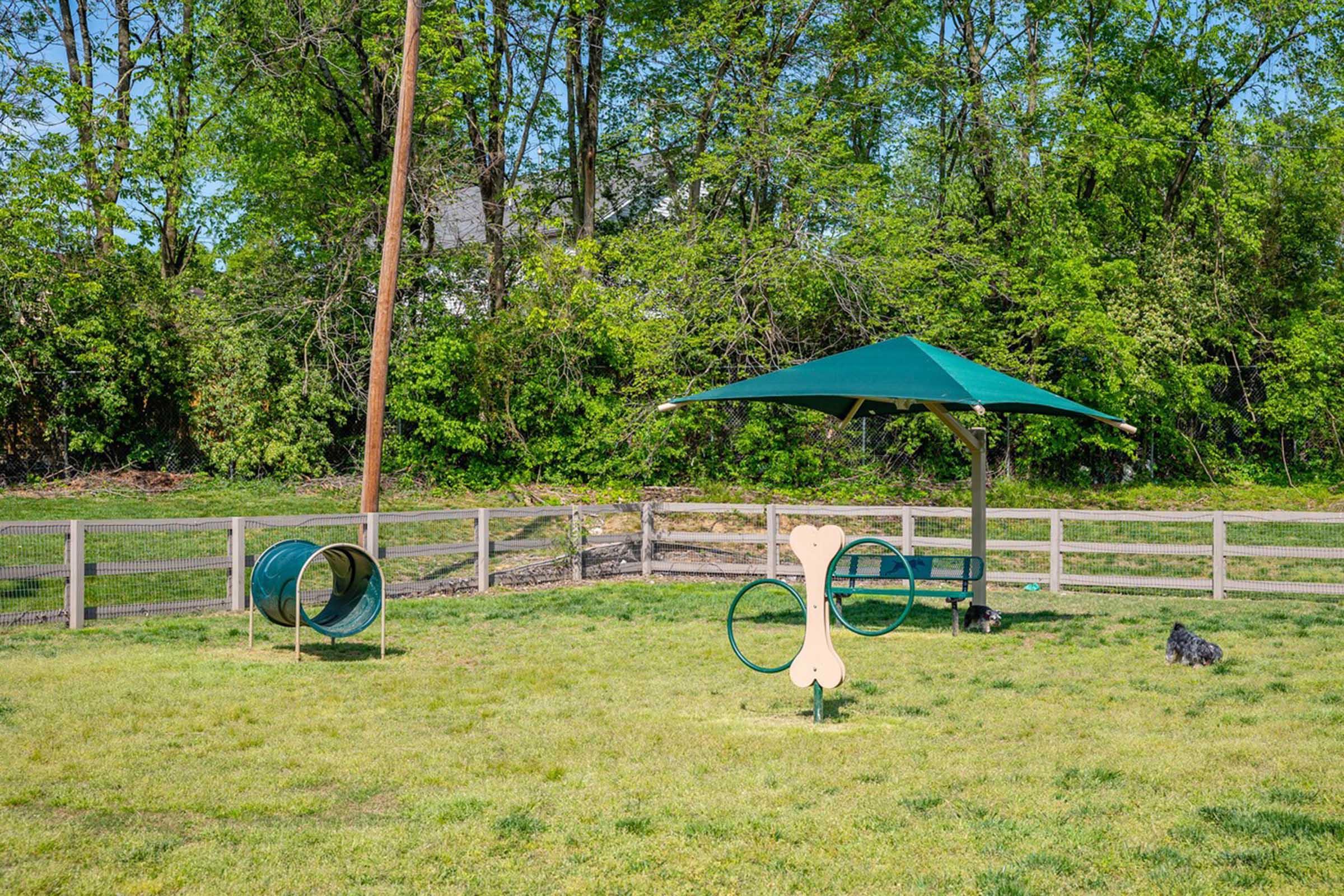 A sunny dog park featuring a grassy area with agility equipment, including a large green tunnel and a large bone-shaped structure. A shaded area with a green canopy is visible, along with a wooden fence surrounding the park. Lush trees and greenery provide a natural backdrop.