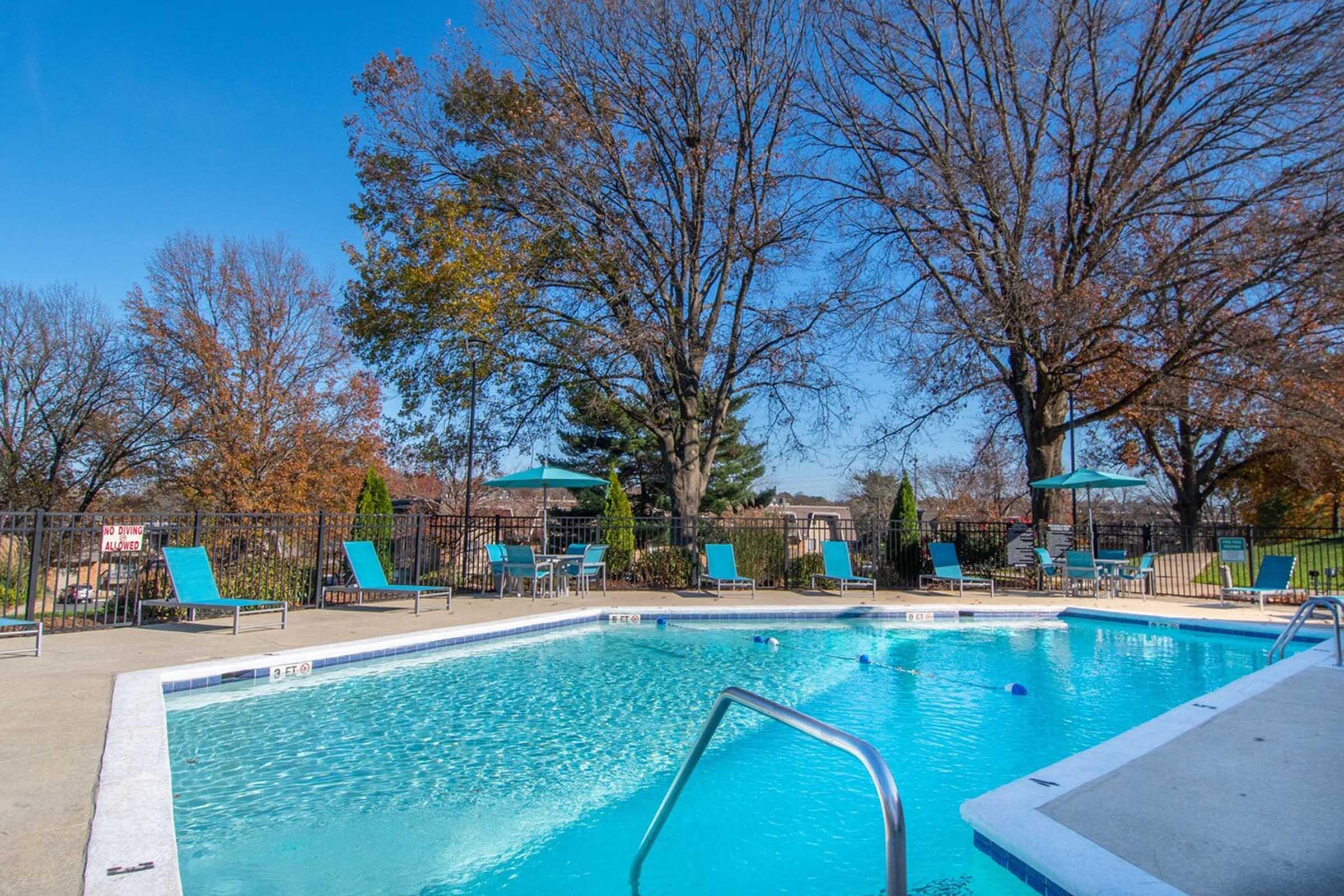 A clear swimming pool with steps leading in, surrounded by lounge chairs and umbrellas, set in a landscaped area with trees. The sky is bright blue, indicating a sunny day, and there are autumn leaves on the trees, suggesting the season is fall.