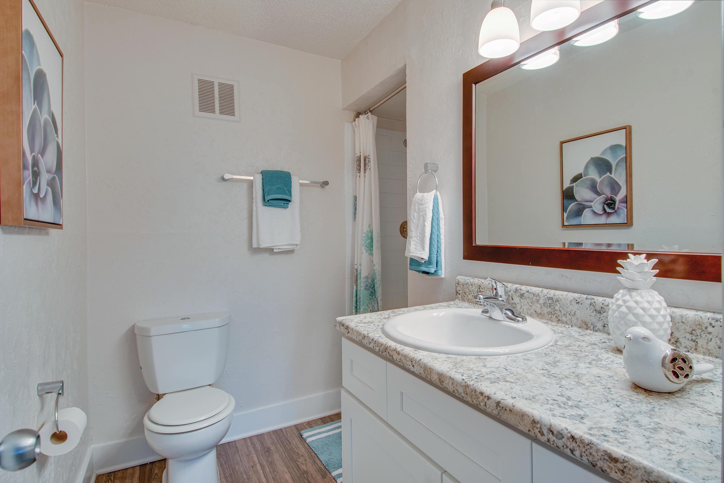A modern bathroom featuring a white toilet, a sleek vanity with a granite countertop, a mirror with a wooden frame, and decorative items like a pineapple and a white bird figurine. There are towels hanging on a rack and a shower curtain with a blue and green design. Natural light illuminates the space.