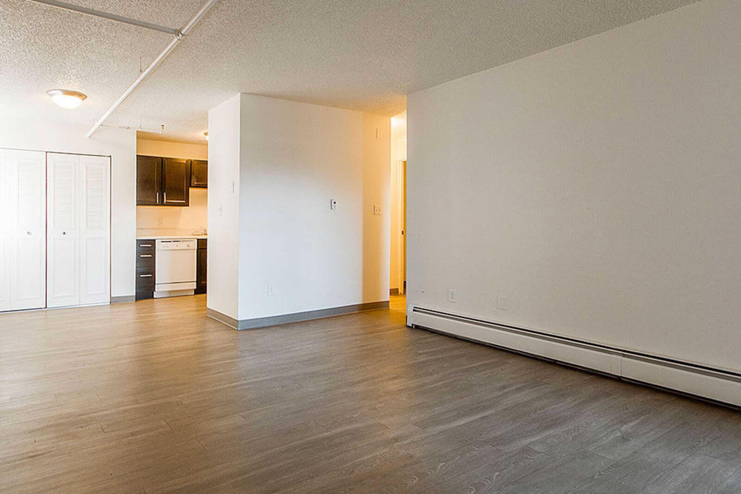 Spacious, empty living area with light-colored walls and wooden flooring. A kitchen area is visible in the background with modern cabinetry and appliances. There are closet doors on the left side, and natural light is streaming in from a nearby doorway.