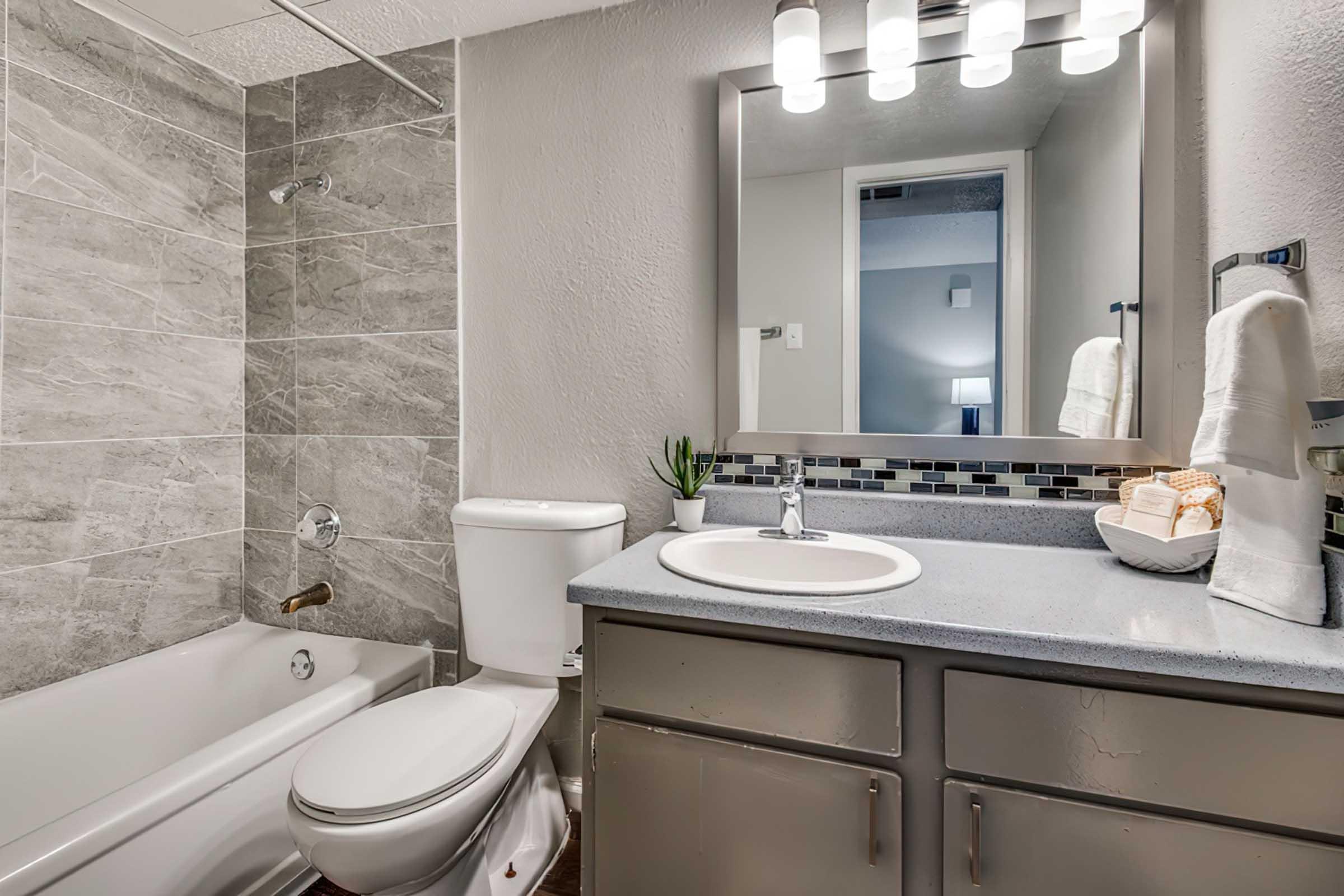 A modern bathroom featuring a gray tiled wall and floor, a white bathtub, and a toilet. The vanity has a round sink with a chrome faucet, a mirror with bright lighting above, and a countertop with neatly arranged toiletries and a small plant.