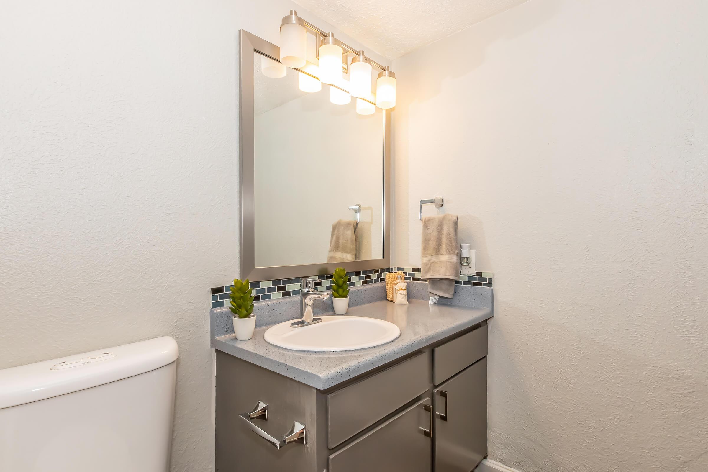 A modern bathroom featuring a gray vanity with a sink, a large mirror above it, and four light fixtures. The countertop is decorated with small potted plants. A hand towel is hung on a rack, and a toilet is visible in the background against a light-colored wall.