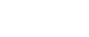 The Borough