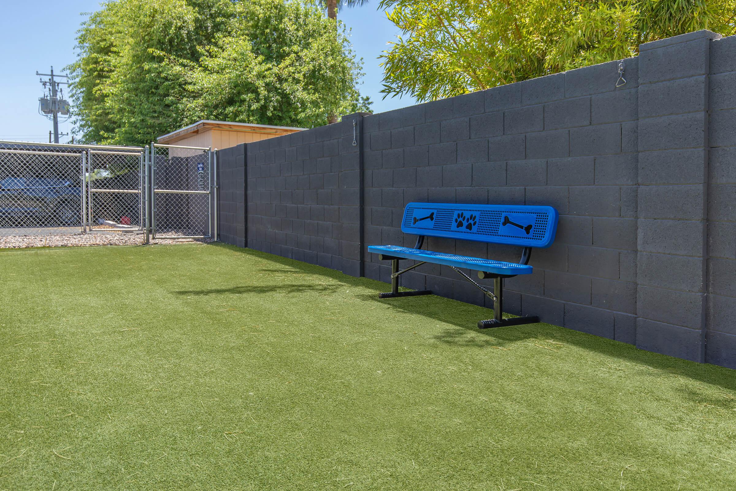 Grass dog park area with blue bench at Rise Biltmore apartments in Phoenix