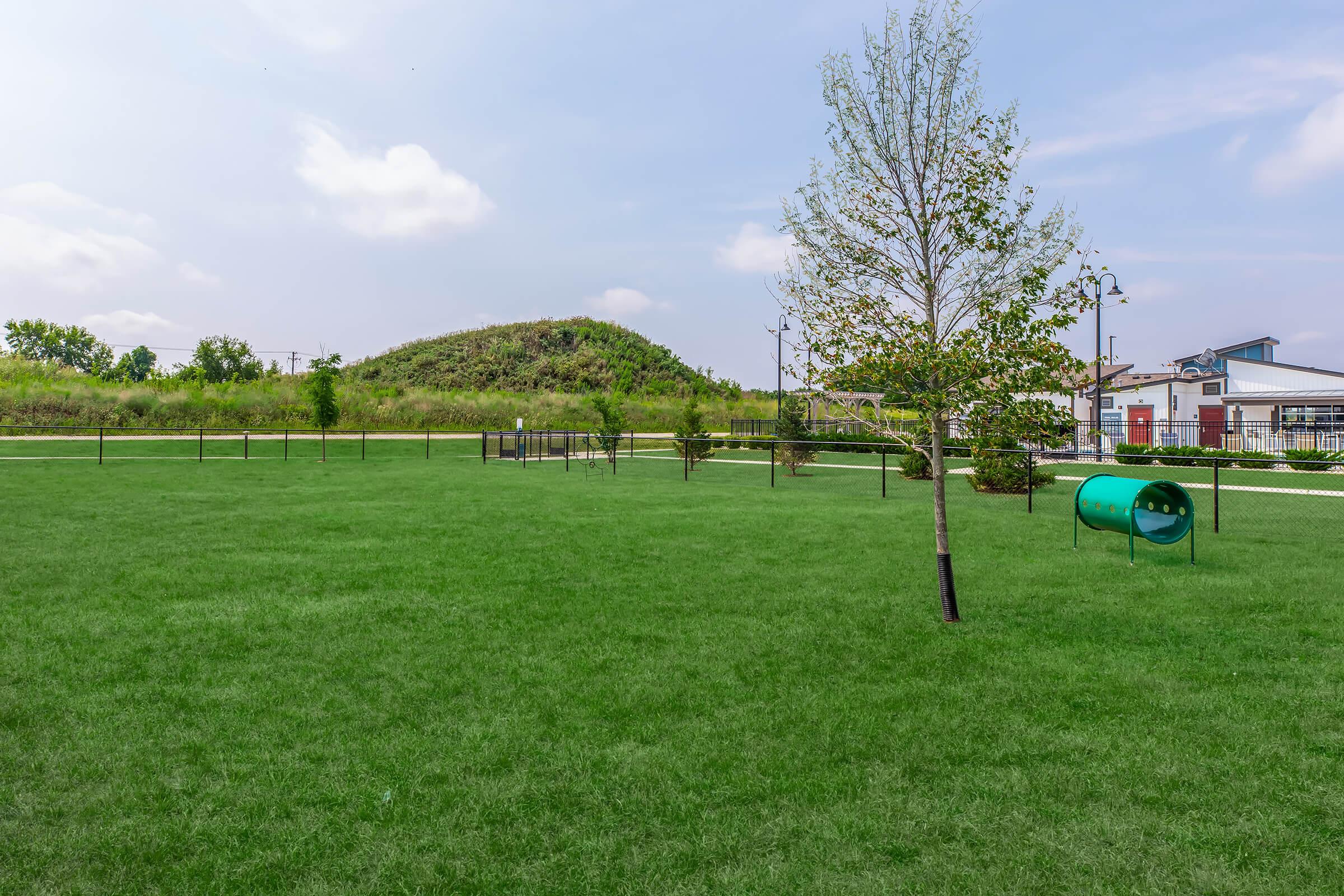 A spacious park scene featuring a lush green lawn, a small tree, and a nearby hill. In the background, there are fences and a structure that appears to be a building. The sky is clear with a few clouds. The overall atmosphere is serene and inviting.