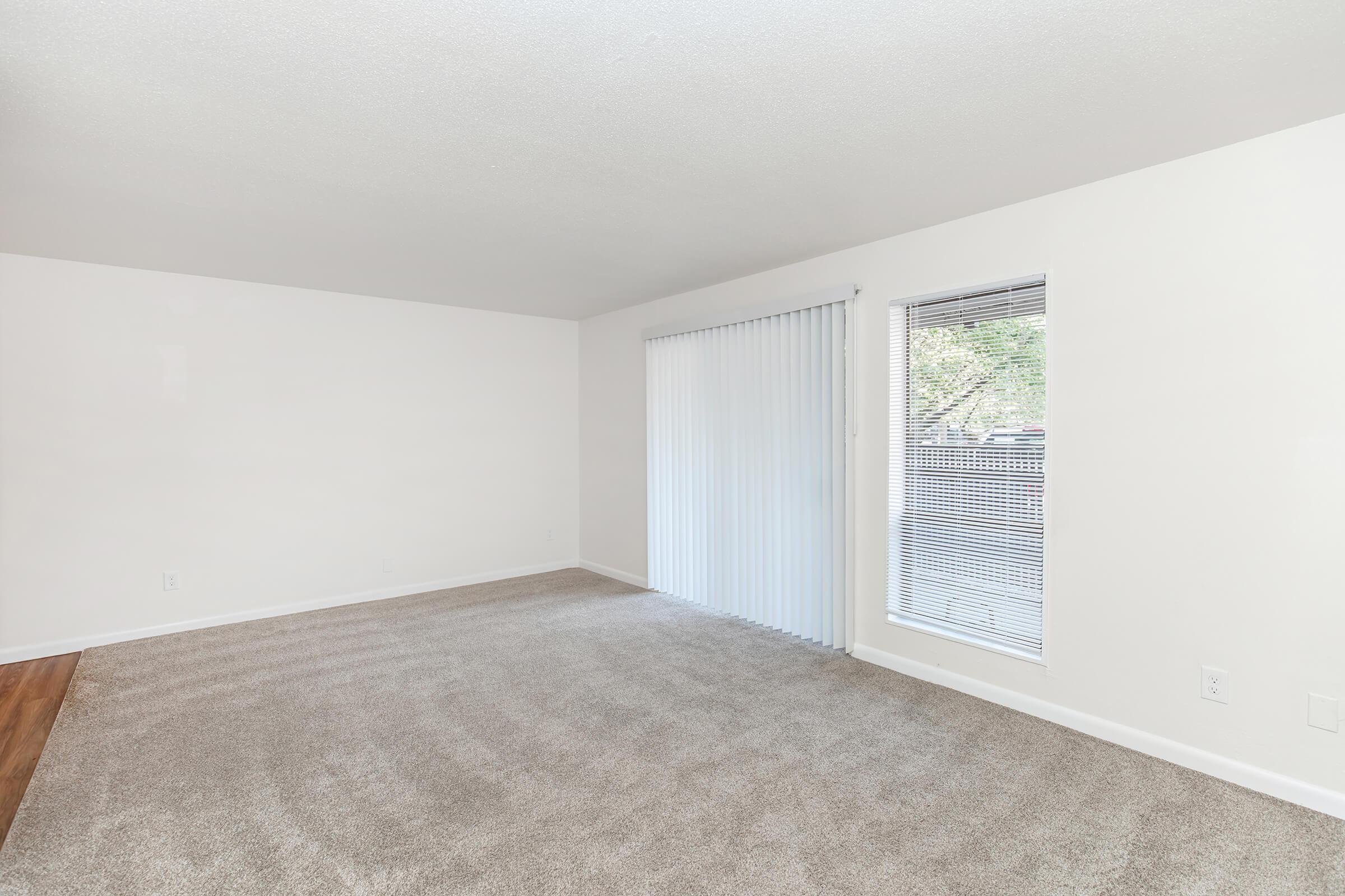 Empty room with light-colored carpet, white walls, and a large window with vertical blinds. The window allows natural light to enter, illuminating the spacious area. There are no furniture or decorations, emphasizing the room's simplicity and potential for personalization.
