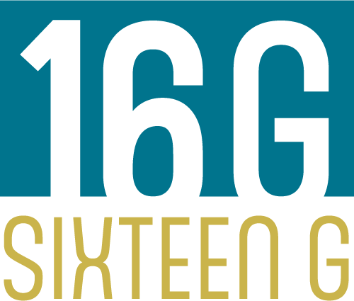 www.sixteeng.com logo