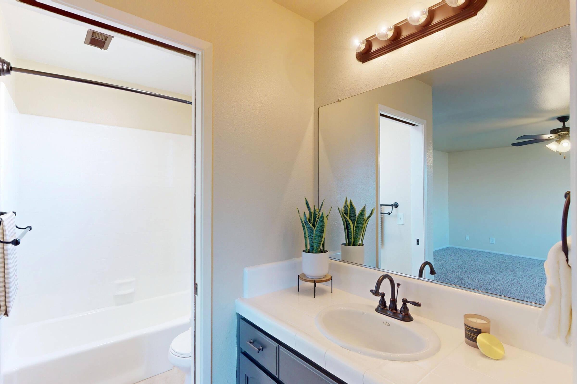 A bathroom with a bathtub and shower combination on the left, a large mirror above a sink with modern fixtures, and a small indoor plant on the counter. The wall is painted a light color, and the space is well-lit with a light fixture above the mirror. A doorway leads to another room in the background.