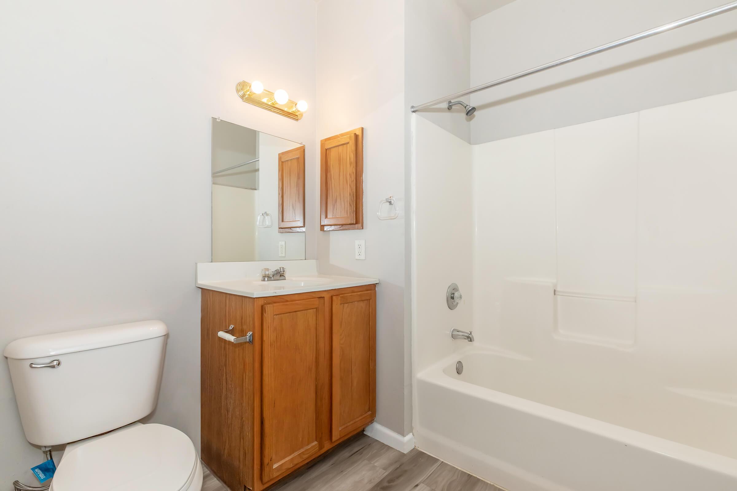 A clean and modern bathroom featuring a white bathtub with a shower, a wooden vanity with a sink, and a toilet. The walls are painted light gray, and there is a mirror above the sink. Soft lighting fixtures are mounted above the mirror, creating a bright and inviting atmosphere.