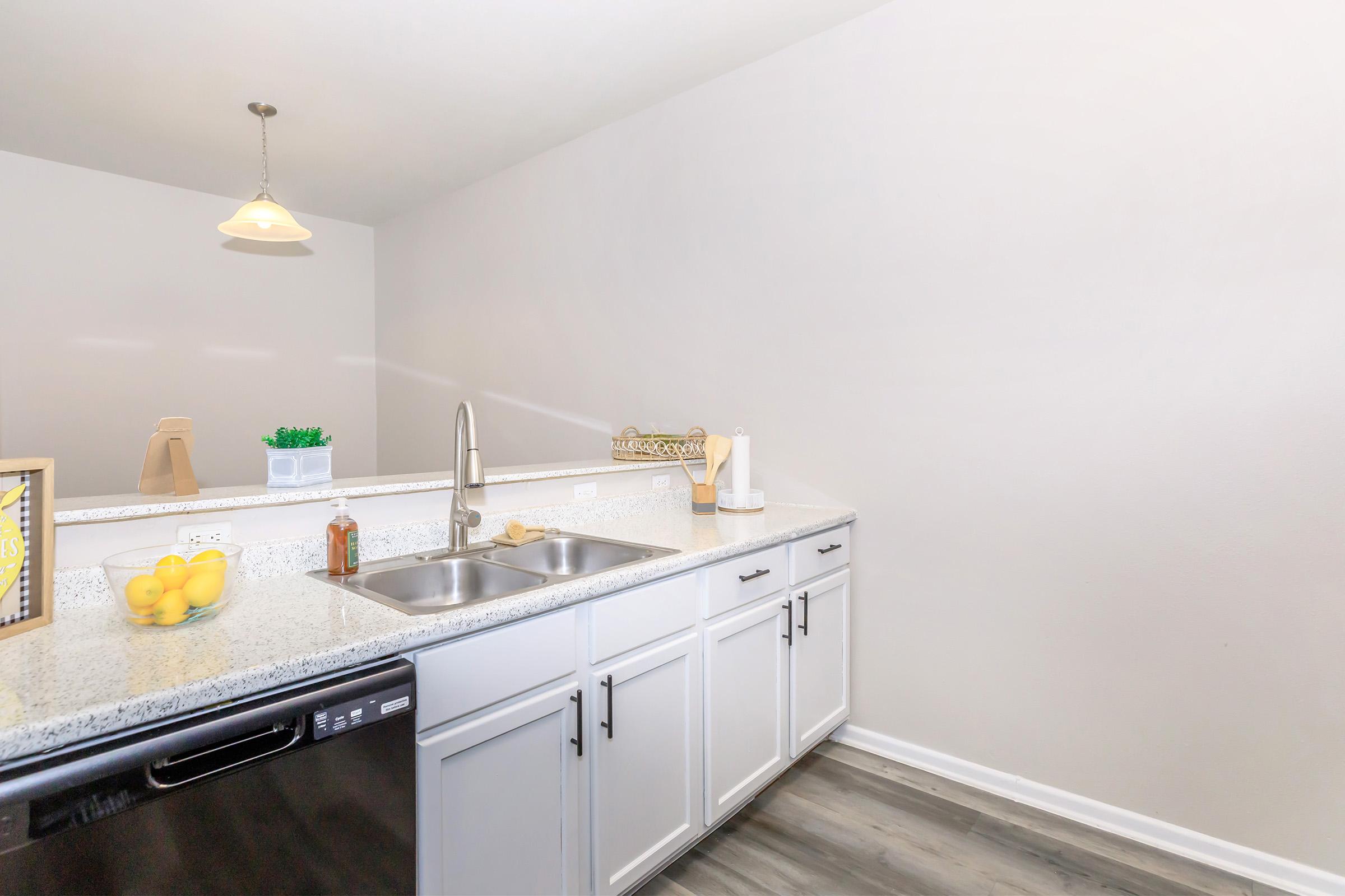 Modern kitchen featuring a granite countertop with a double sink, a black dishwasher, and white cabinets. A pendant light hangs above, while a bowl of lemons and decorative items are placed on the counter. The walls are painted a light color, creating a fresh and inviting atmosphere.