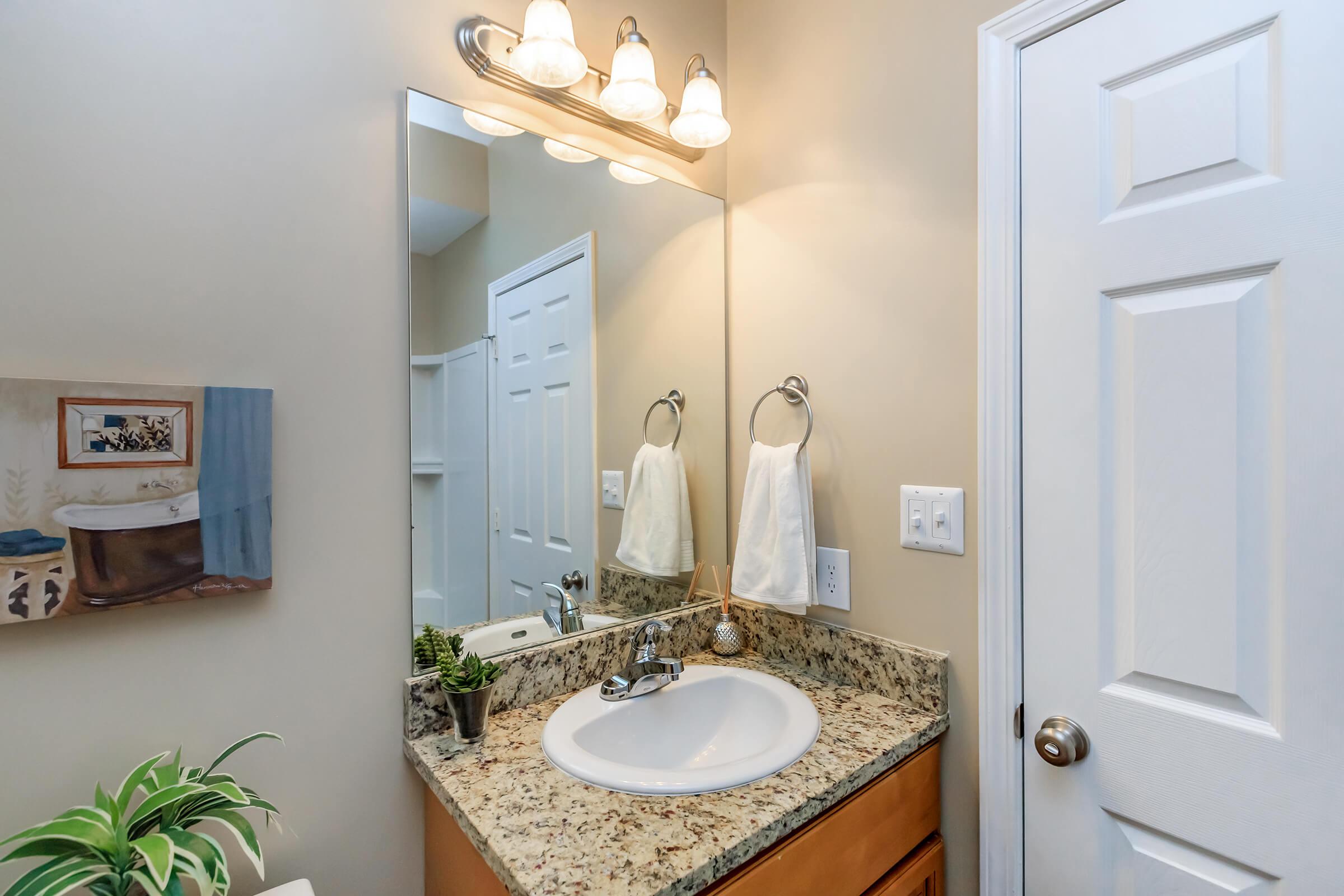 Bright Bathroom in Eagles Crest at Jack Miller in Clarksville, Tennessee