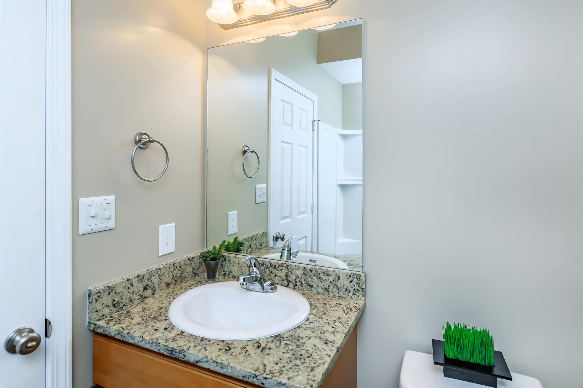 Sleek bathroom at Eagles Crest at Jack Miller in Clarksville, TN