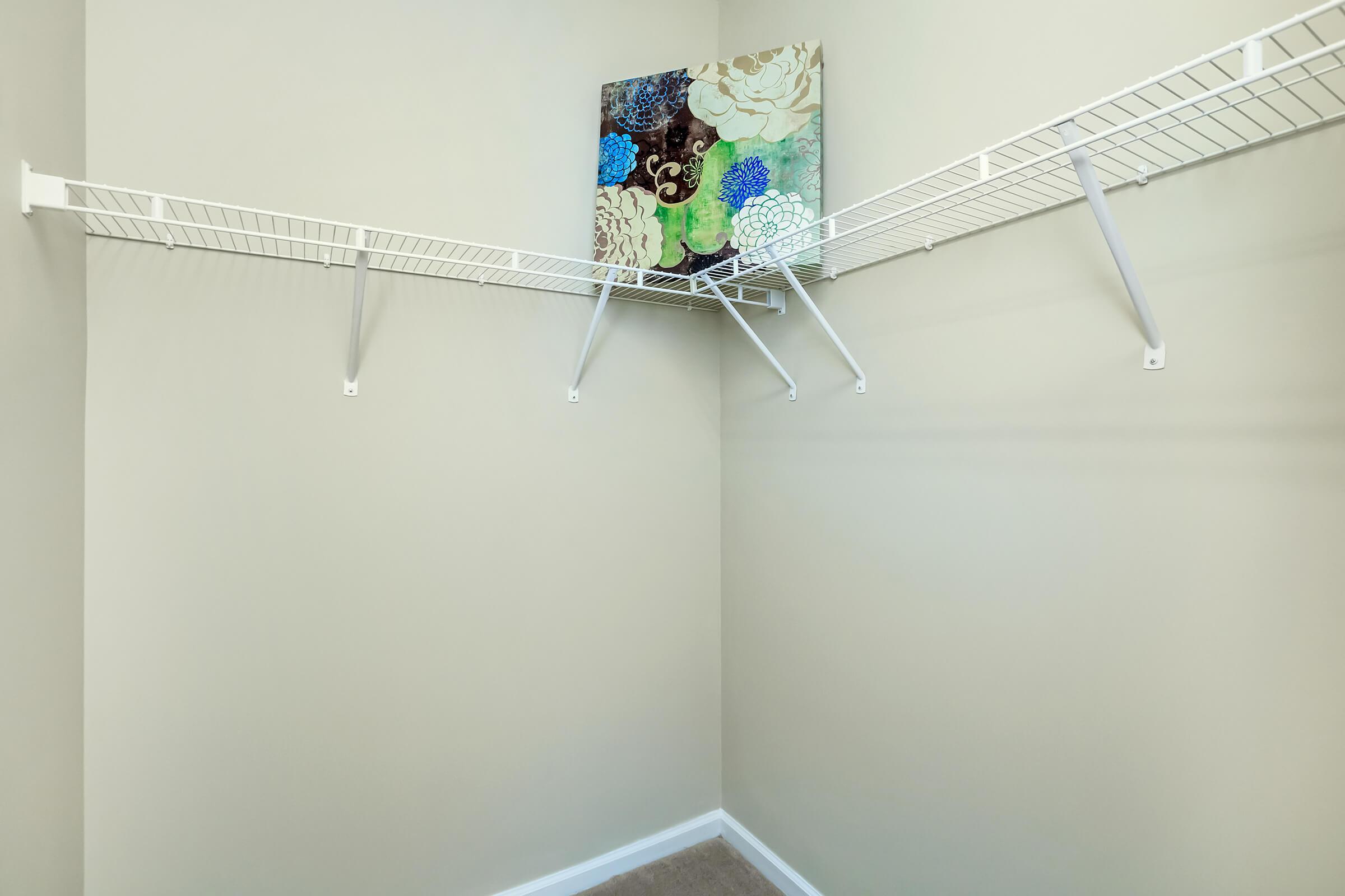 WALK-IN CLOSETS IN EAGLES CREST AT JACK MILLER