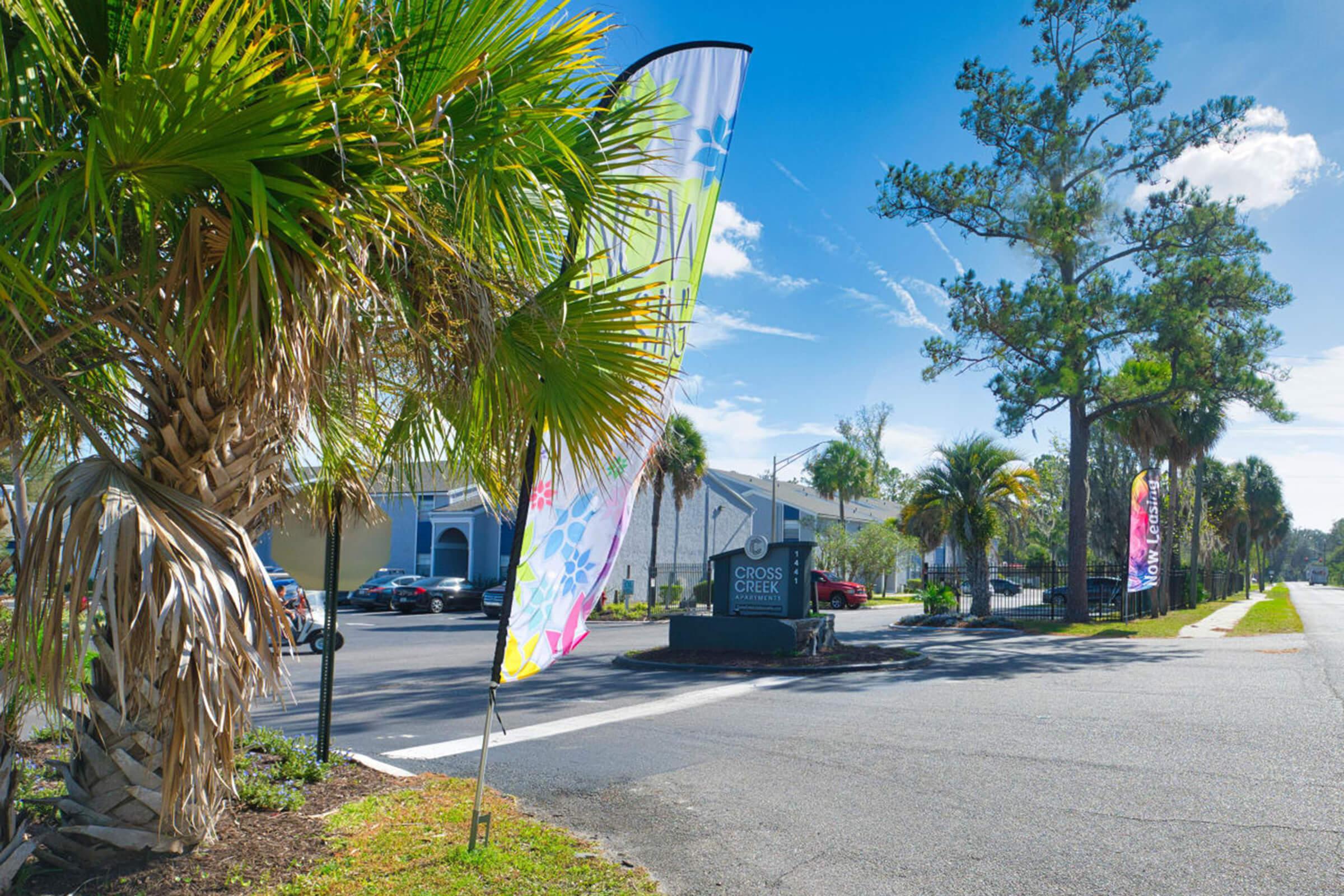 A scenic view of a road lined with palm trees, colorful flags, and a sign for Cross Creek. The sky is clear with a few clouds, and parked cars can be seen in the background. The setting reflects a sunny, vibrant atmosphere typical of a tropical location.