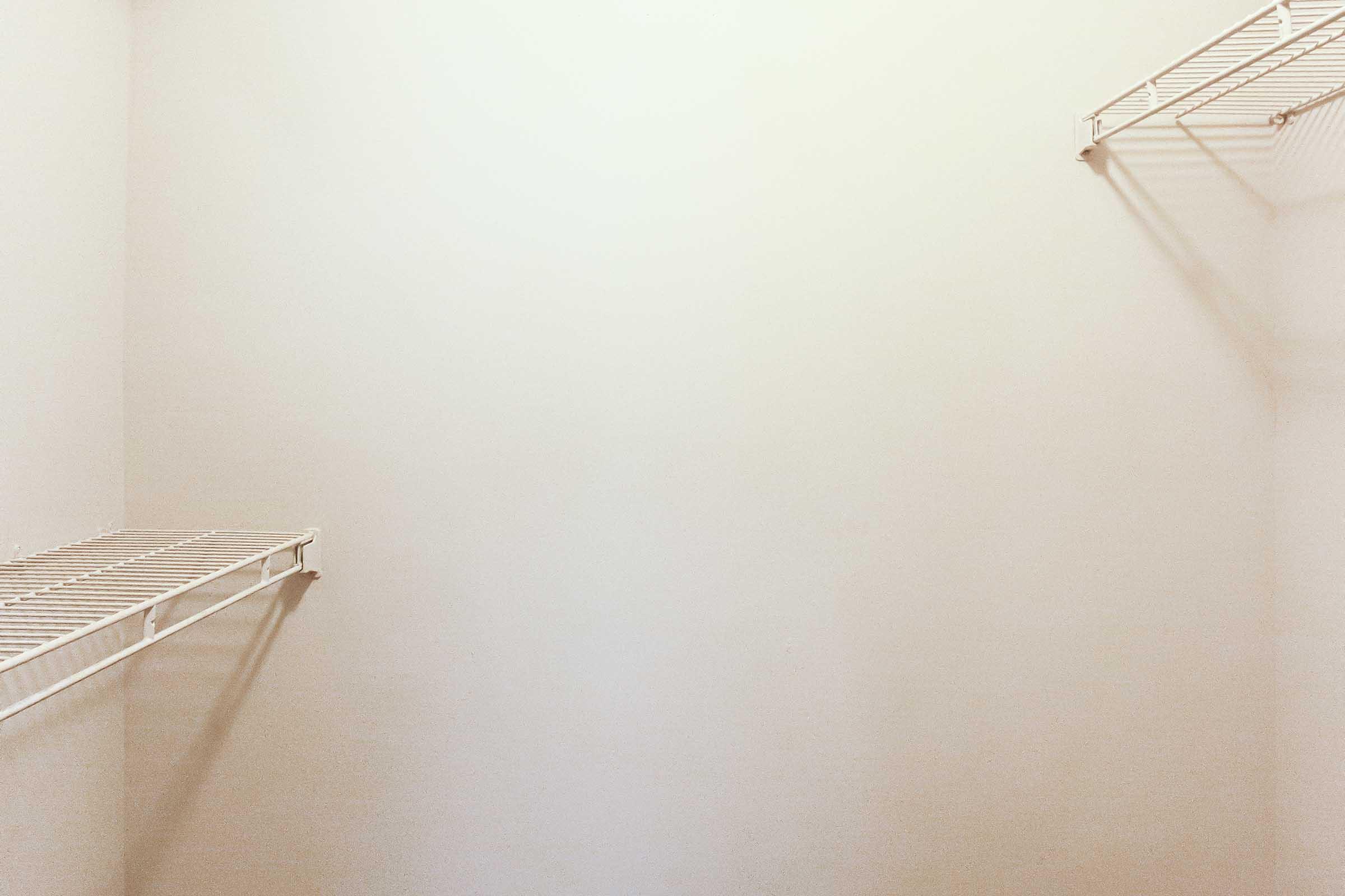 Empty closet with bare white walls and two wire shelving units on opposite sides, creating a minimalistic and uncluttered appearance.