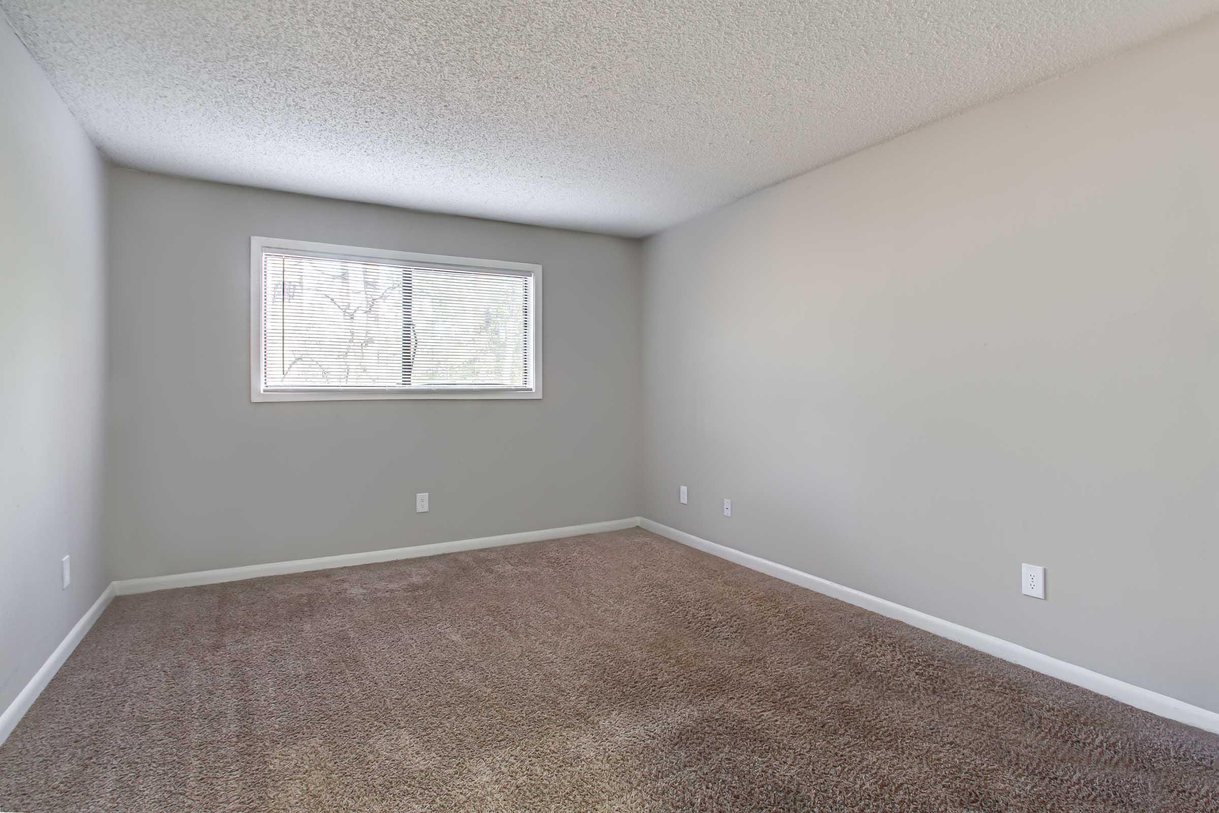 A spacious, empty room with light gray walls and freshly cleaned beige carpet. A single window lets in natural light, and there are two electrical outlets on one wall. The room appears ready for decoration or use, giving a bright and airy feel.