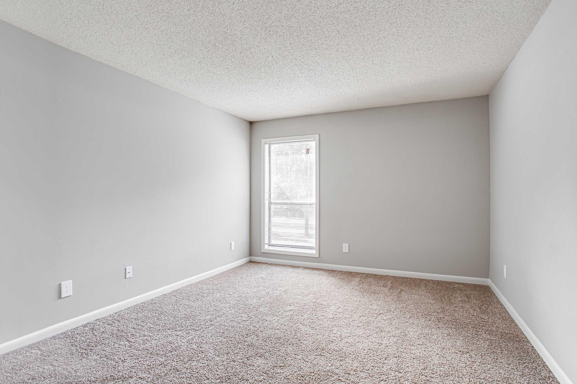 A spacious, empty room with light gray walls and a carpeted floor. There is a window on one wall allowing natural light to enter, and two electrical outlets visible. The room is unfurnished, providing a clean and minimalistic atmosphere.