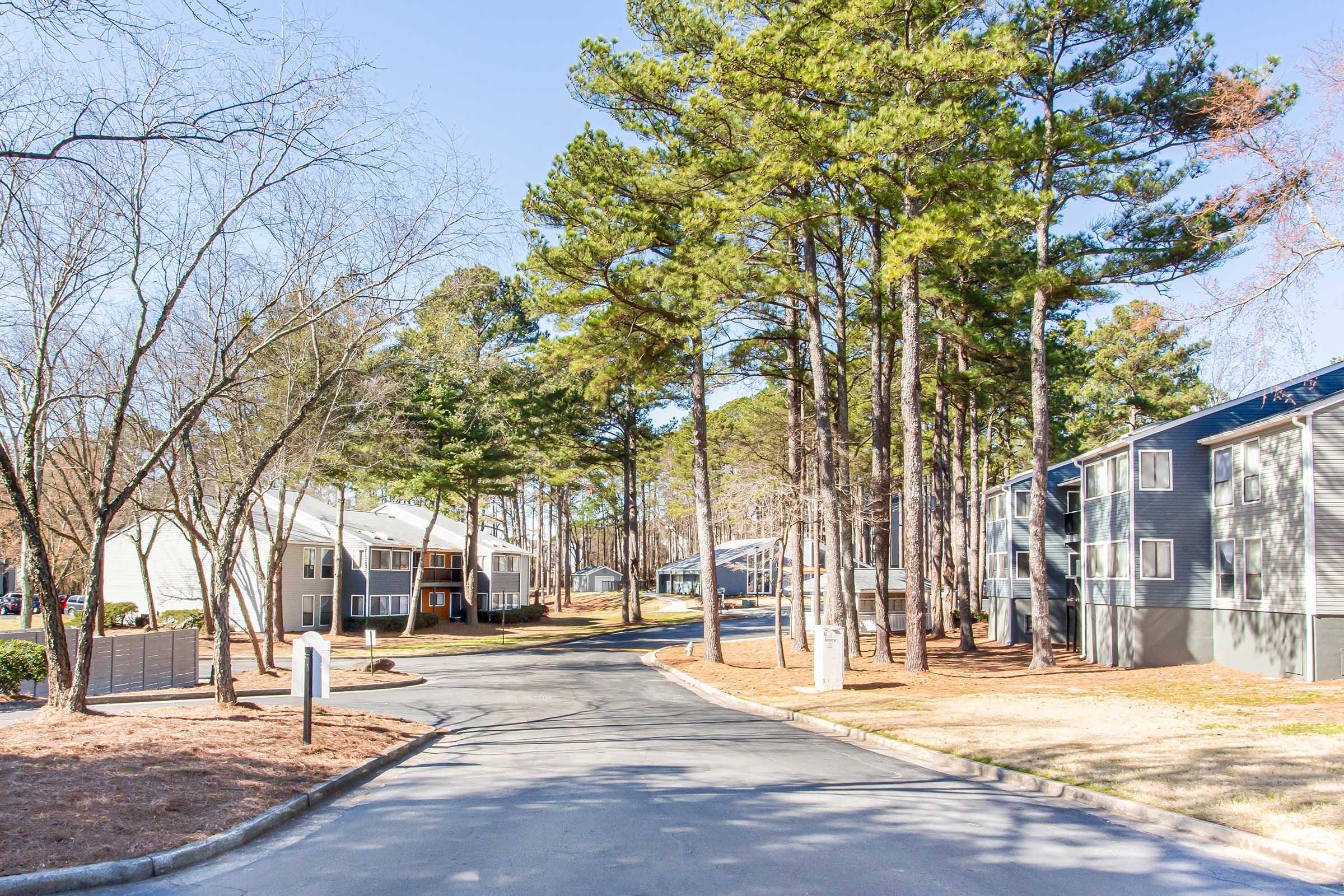 A peaceful residential area with a winding road lined by tall pine trees. On either side of the street, there are modern apartment buildings set back from the road. The scene is bright and sunny, showcasing a clear blue sky and a well-maintained landscape with patches of grass and bare trees.