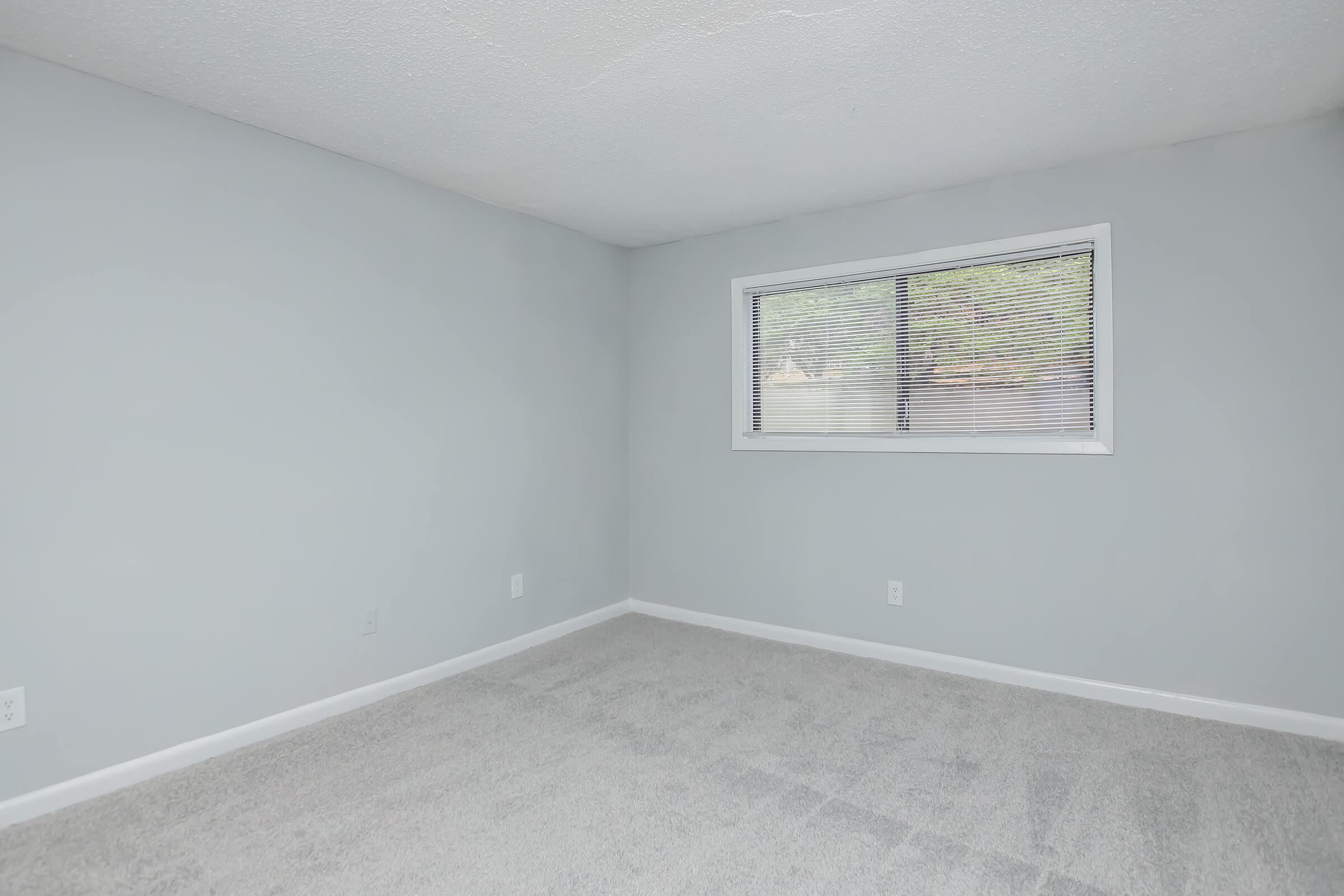 Empty room with light gray walls and a large window featuring white blinds. The floor is covered with beige carpet. The space is uncluttered and bright, providing a minimalistic and airy atmosphere.