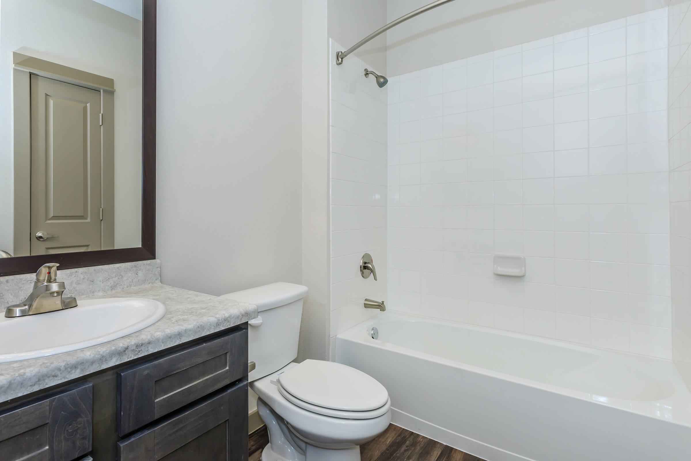 a shower that has a sink and a mirror