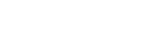 Torino Group Inc. Logo