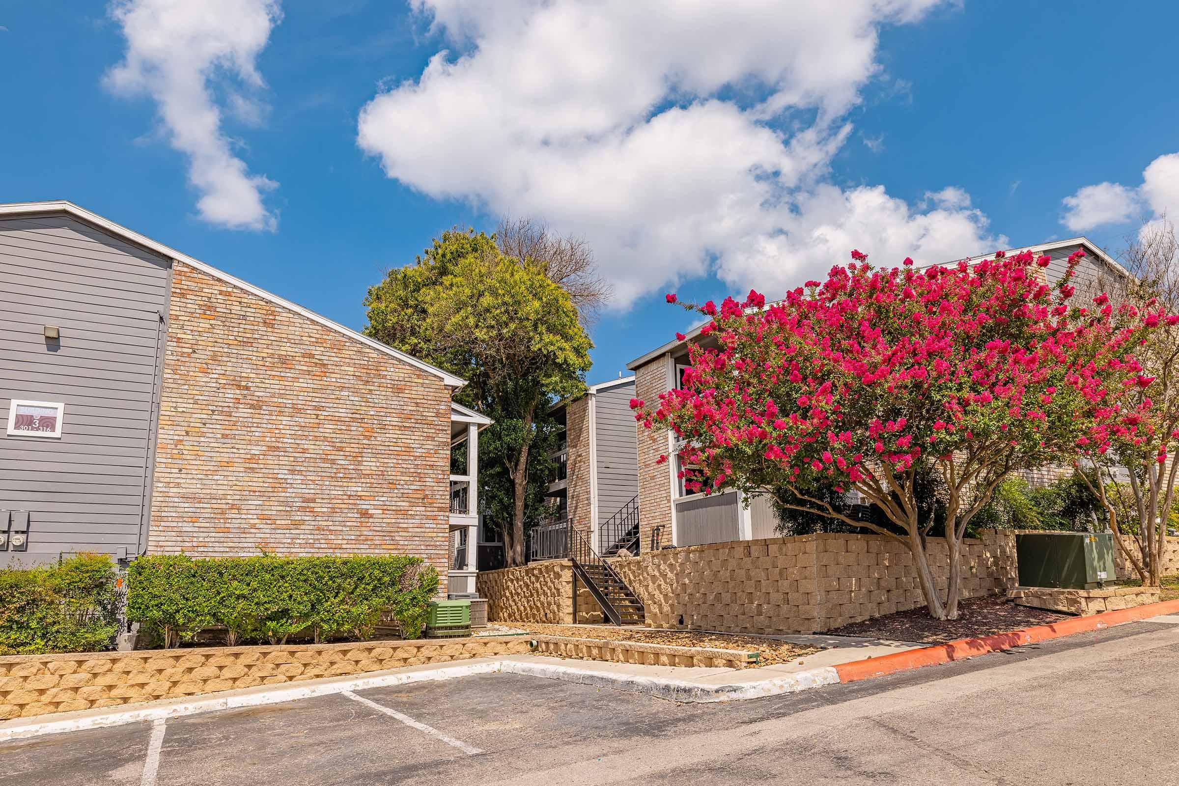 A residential area featuring two apartment buildings with a brick facade, surrounded by lush greenery. A vibrant pink flowering tree is prominently displayed in the foreground, adding color to the scene. The sky is partly cloudy, enhancing the bright, inviting atmosphere of the setting.