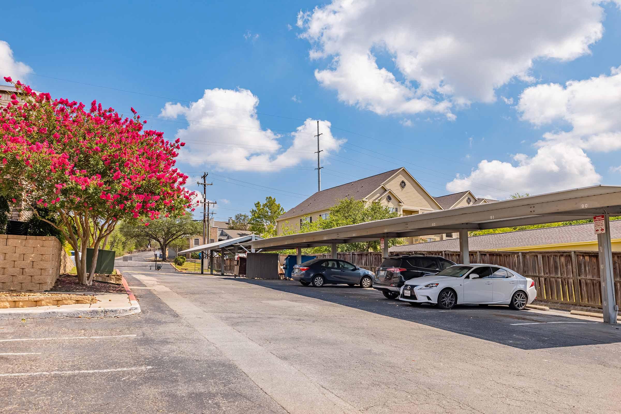 A sunny parking area with several covered parking spaces. In the foreground, a white car is parked beside a dark-colored car. Lush pink flowering bushes line the side, and residential buildings are visible in the background. The sky is blue with fluffy clouds.