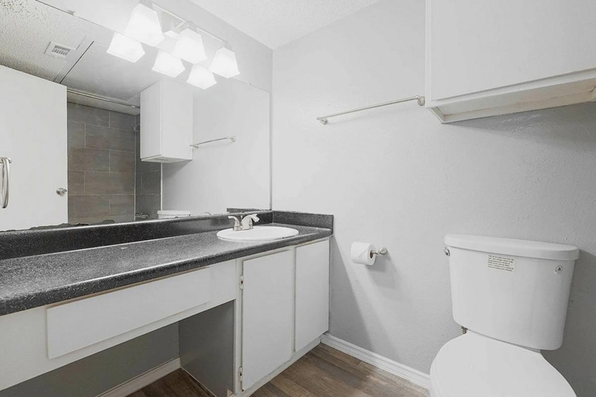 A clean, modern bathroom featuring a white toilet, a countertop sink with a faucet, a large mirror, and overhead lighting. The walls are painted light gray, and the floor has a wood-like finish. A towel bar is mounted on the wall, and there is a roll of toilet paper on a holder.