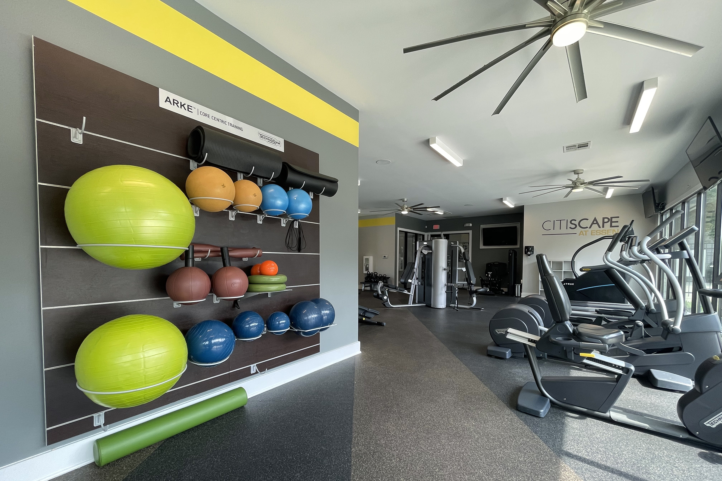 A modern gym interior featuring a wall mounted display of exercise balls and foam rollers in various colors. The gym equipment includes ellipticals and strength training machines, with large windows allowing natural light. A contemporary ceiling fan adds to the bright, open atmosphere.