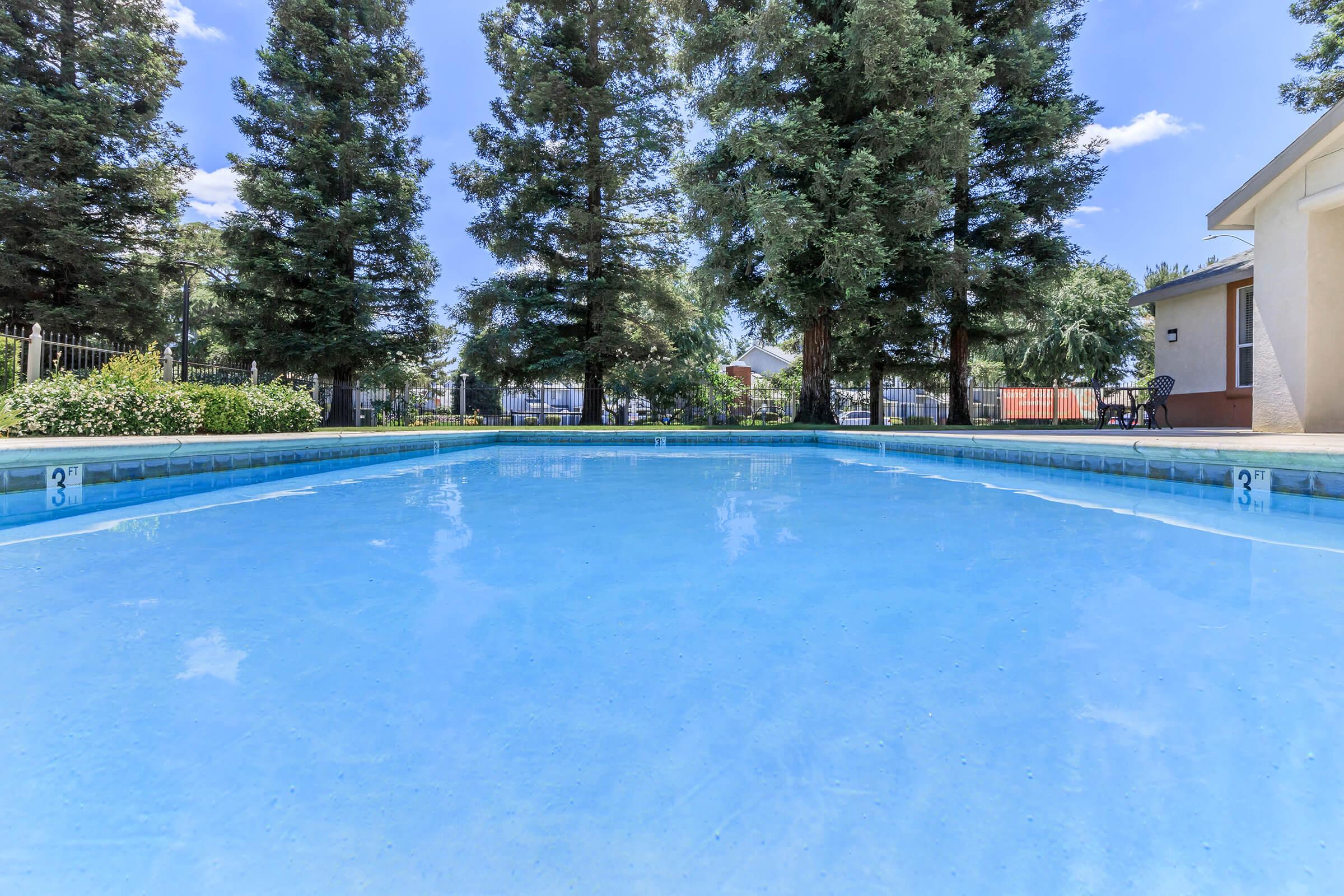 A clear blue swimming pool surrounded by tall green trees under a bright blue sky. The pool has a shallow end marked with a "3" indicating three feet deep. There is a patio area nearby with a chair and landscaped plants along the edge of the pool.