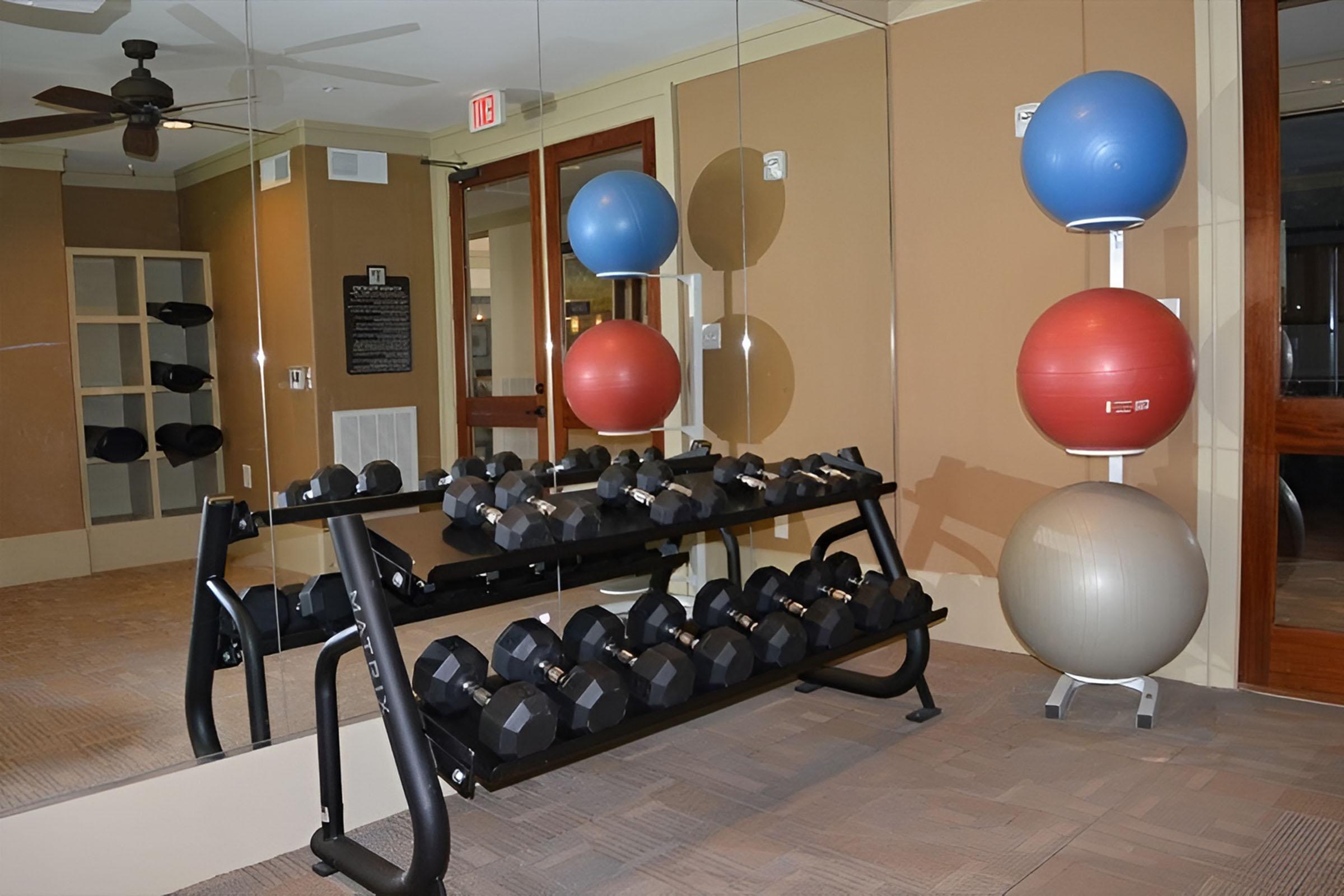 A well-equipped gym area featuring a rack of dumbbells, exercise balls in various colors on stands, and a large mirror reflecting the space. The walls are painted in neutral tones, and there are fitness accessories neatly arranged in the background.