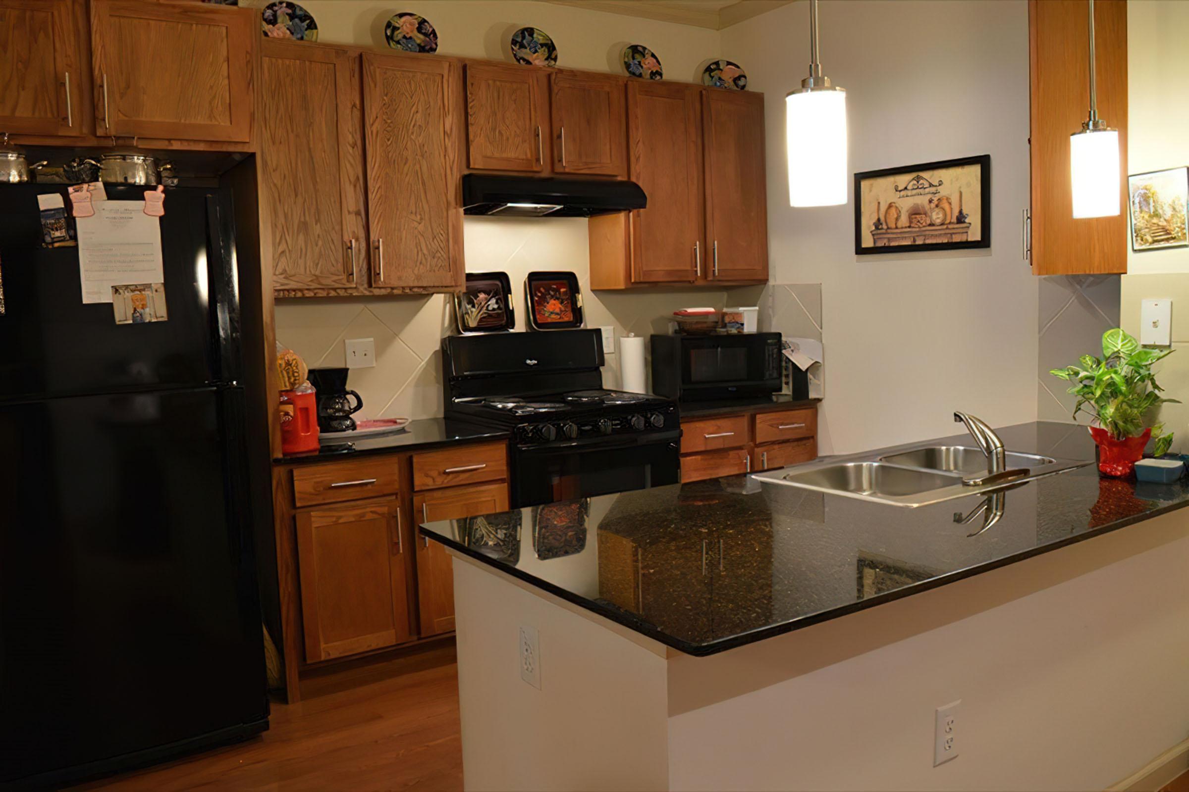 A modern kitchen featuring wooden cabinetry, a black refrigerator, and a black gas stove. The countertop is dark with a stainless steel sink. There are decorative plates on the wall, a microwave on the counter, and a small plant. Warm lighting adds to the inviting atmosphere.