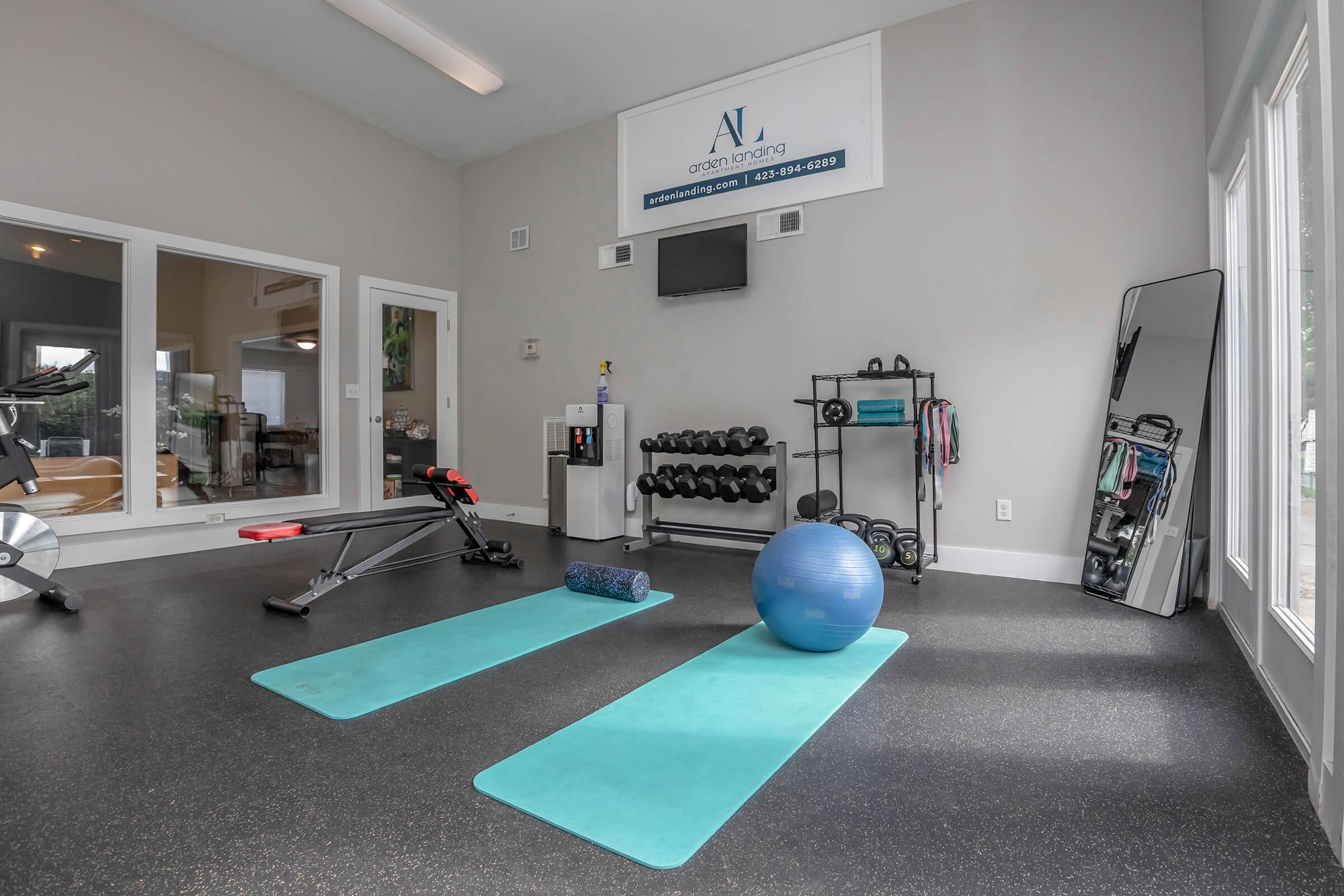 A modern fitness space featuring two exercise mats, a stability ball, a foam roller, dumbbells on a rack, and a mirror. A television is mounted on the wall, and there are exercise bands hanging nearby. The room is well-lit with large windows, creating an inviting workout environment.