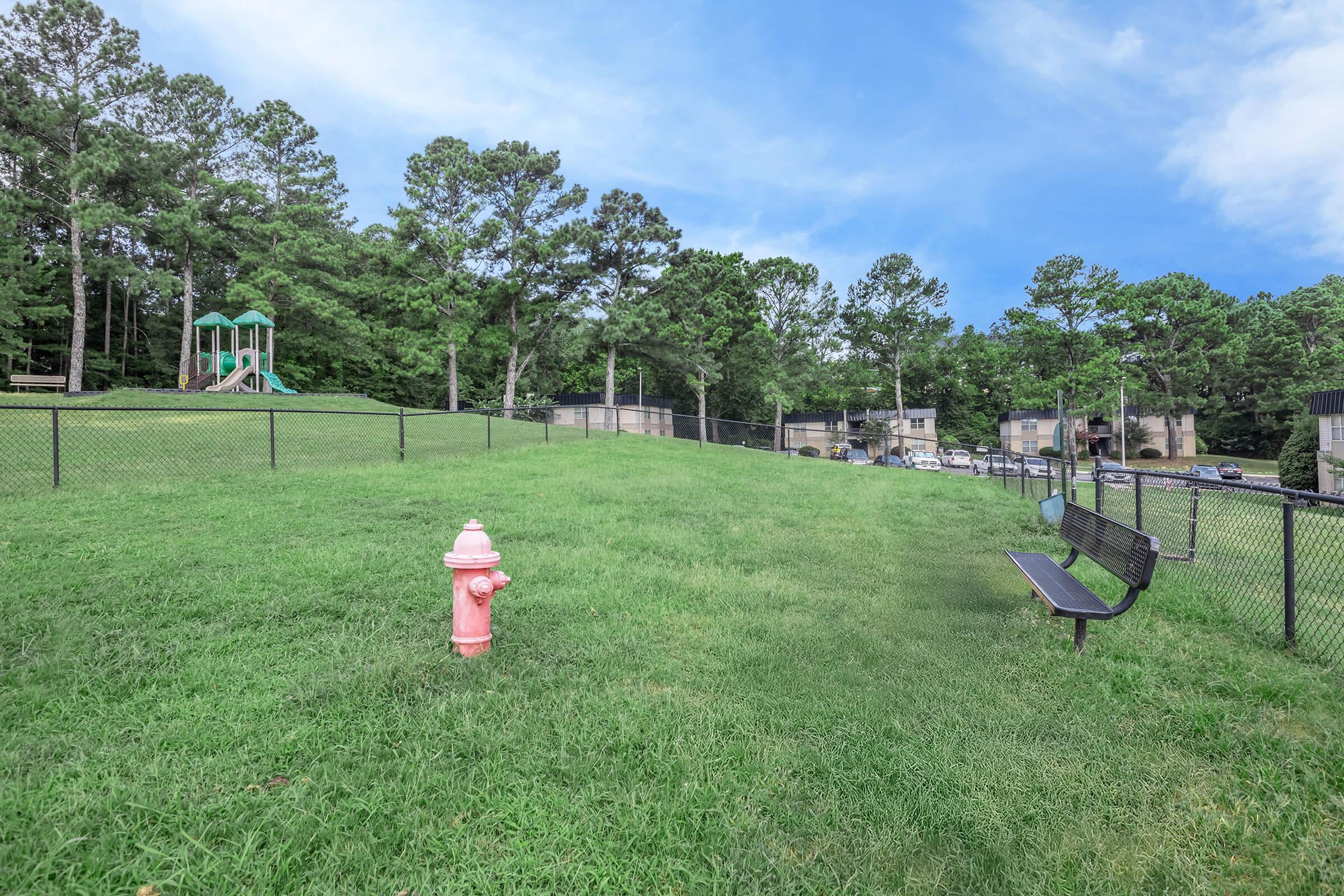 A grassy area with a pink fire hydrant in the foreground, a black park bench nearby, and a playground structure in the distance. Trees line the background, with residential buildings partially visible beyond the fence. Clear blue sky overhead.