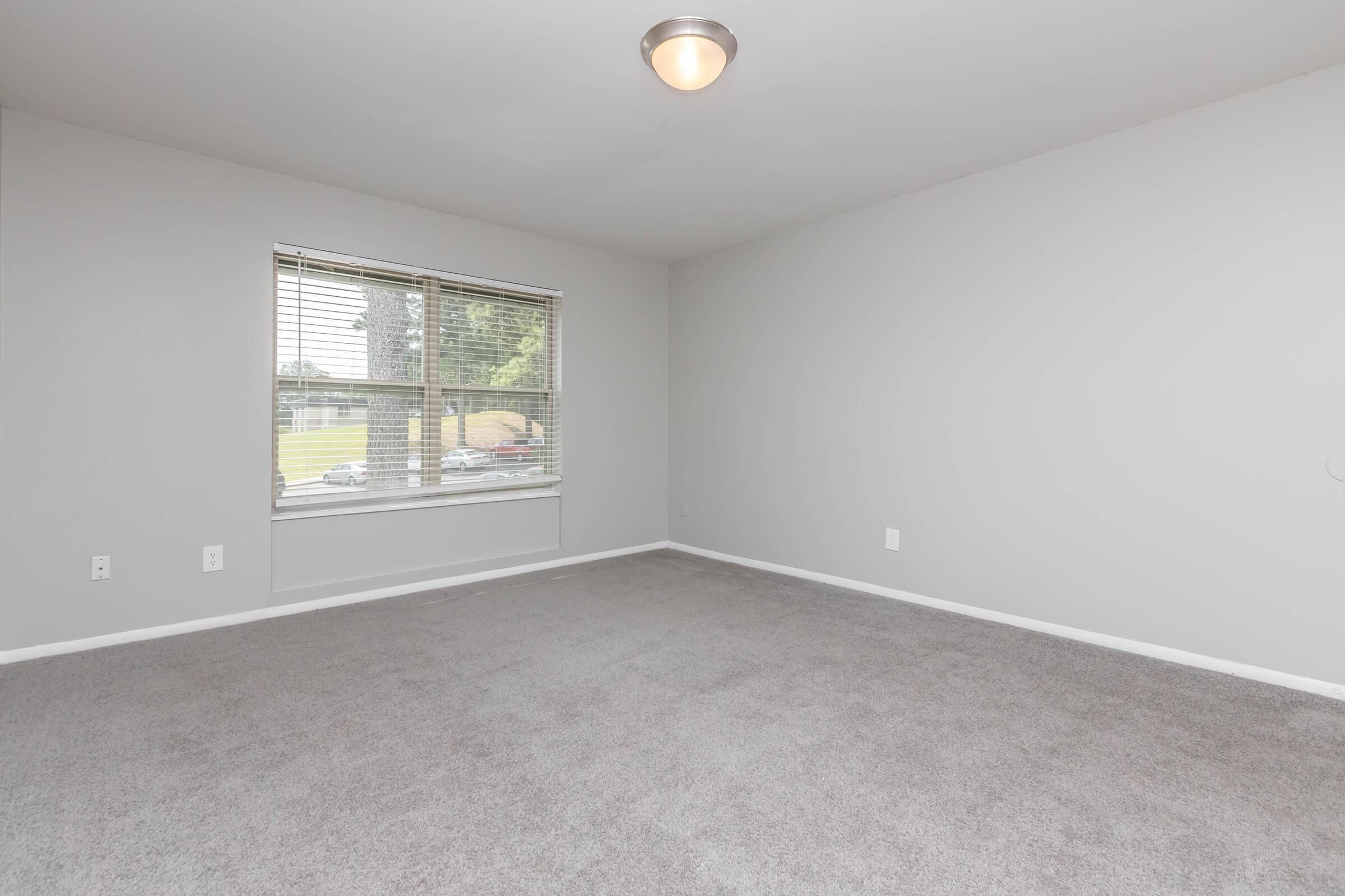 Empty room with light gray walls and a plush carpet, featuring a window with blinds that lets in natural light. The window overlooks a view outside, enhancing the spacious feel of the room. The ceiling has a simple light fixture. No furniture or decor is visible.