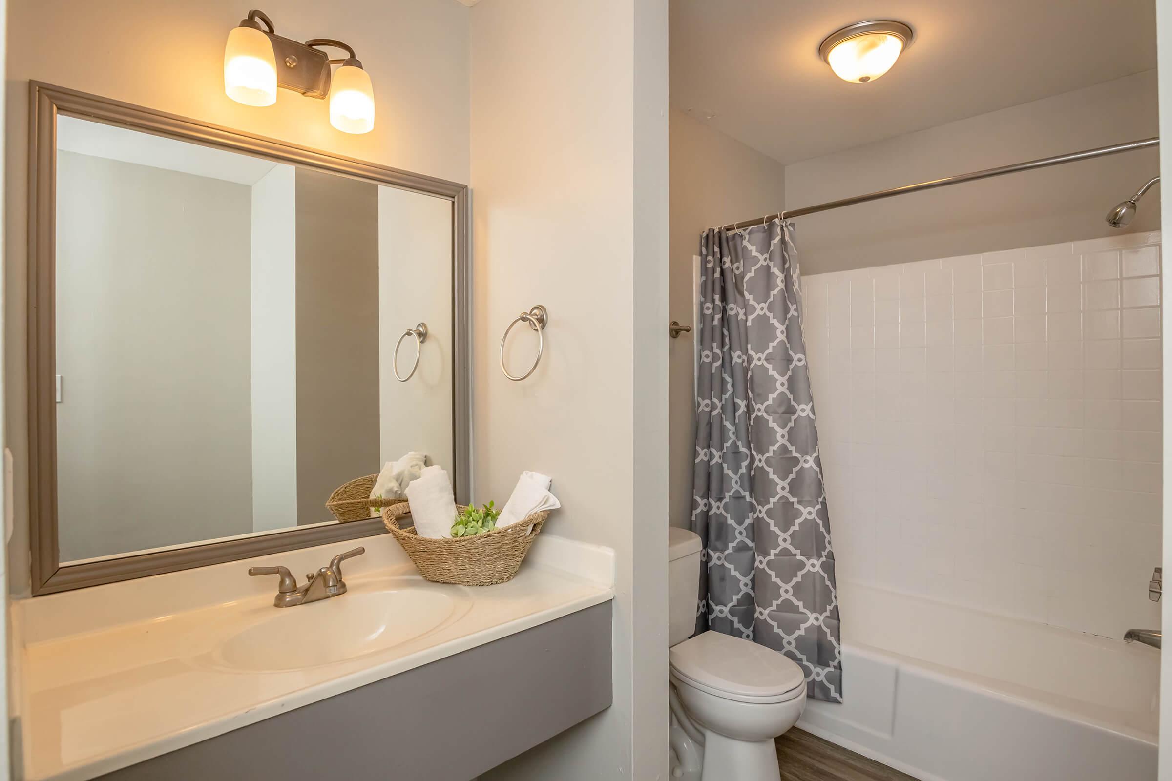 A well-lit bathroom featuring a modern sink with a mirror above it, a shower area with a gray patterned curtain, and a white bathtub. A basket with rolled towels and decorative greenery sits on the countertop. The walls are painted in neutral tones, creating a clean and inviting atmosphere.