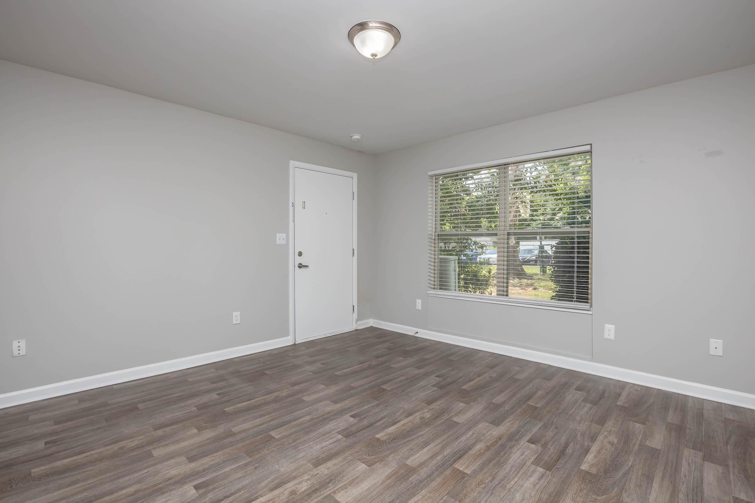 Empty room with light gray walls and laminate flooring. A single light fixture is mounted on the ceiling. There is a closed white door on one side and a window with blinds, revealing greenery outside. The room has minimal furnishings, creating an open and spacious feel.