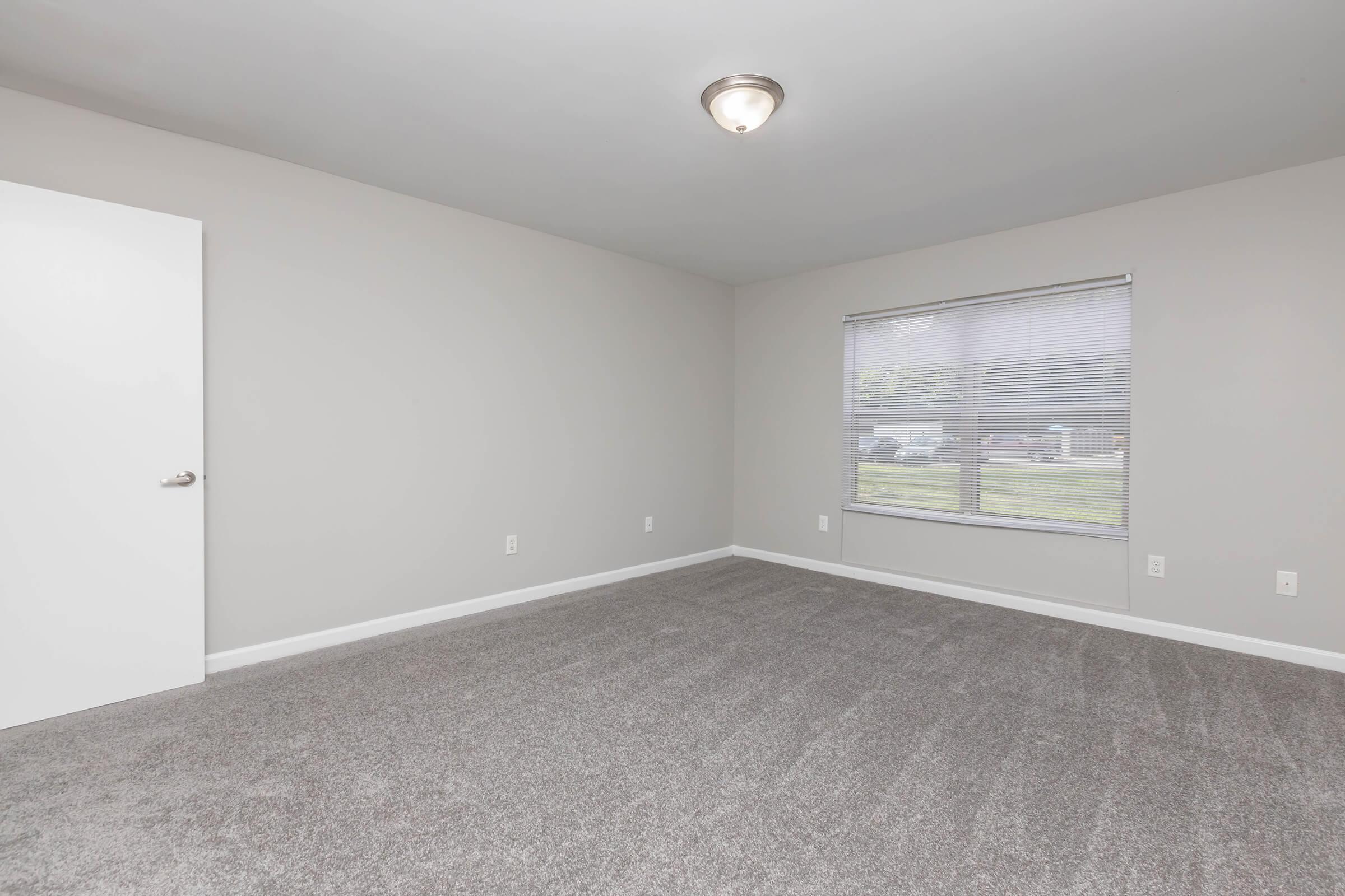 Empty room with light gray walls and carpeted flooring. A white door is visible on the left, and a window with blinds lets in natural light, providing a view of the outdoors. The ceiling light fixture is modern, adding to the clean and simple aesthetic of the space.