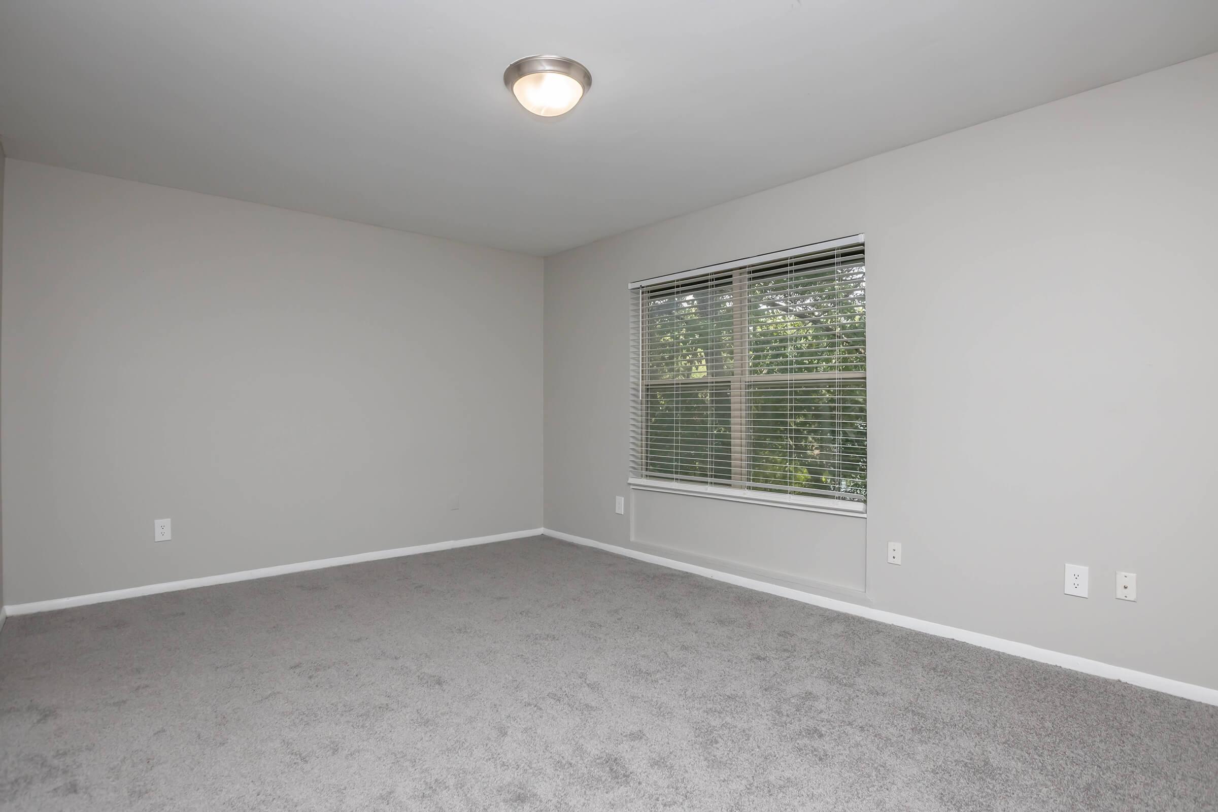 Empty room with light gray carpet and light gray walls. A window with blinds lets in natural light, showcasing greenery outside. Ceiling light fixture illuminates the space. No furniture or decor present, giving the room a spacious, minimalist look.